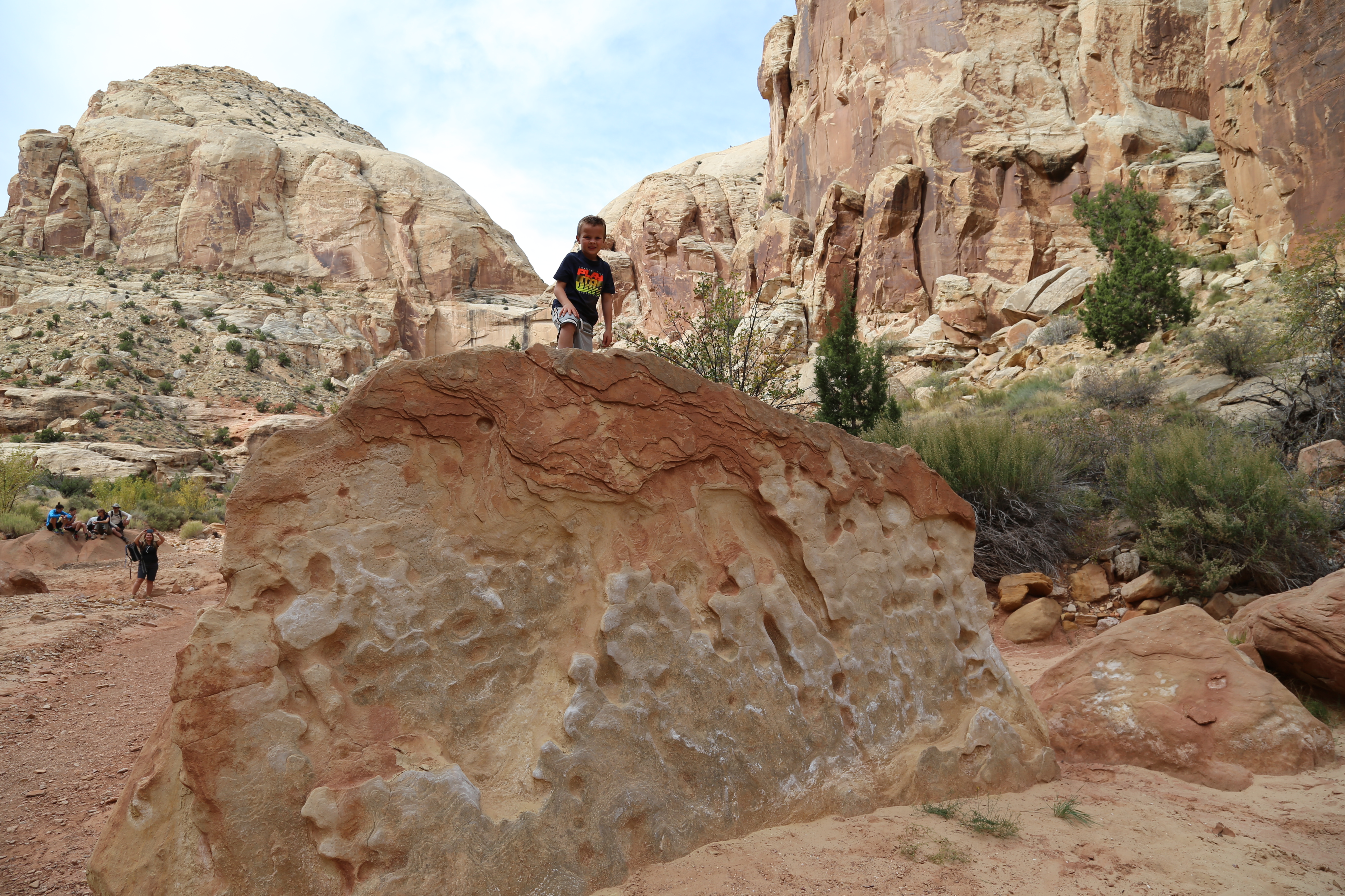 2015 Fall Break - Day 2 - Capitol Reef National Park (Grand Wash Narrows, Capitol Gorge (Petroglyphs, Narrows, Pioneer Register), Waterpocket Fold Drive (Notom-Bullfrog Road, Burr Trail Road), Hell's Backbone Grill (Boulder, Utah))