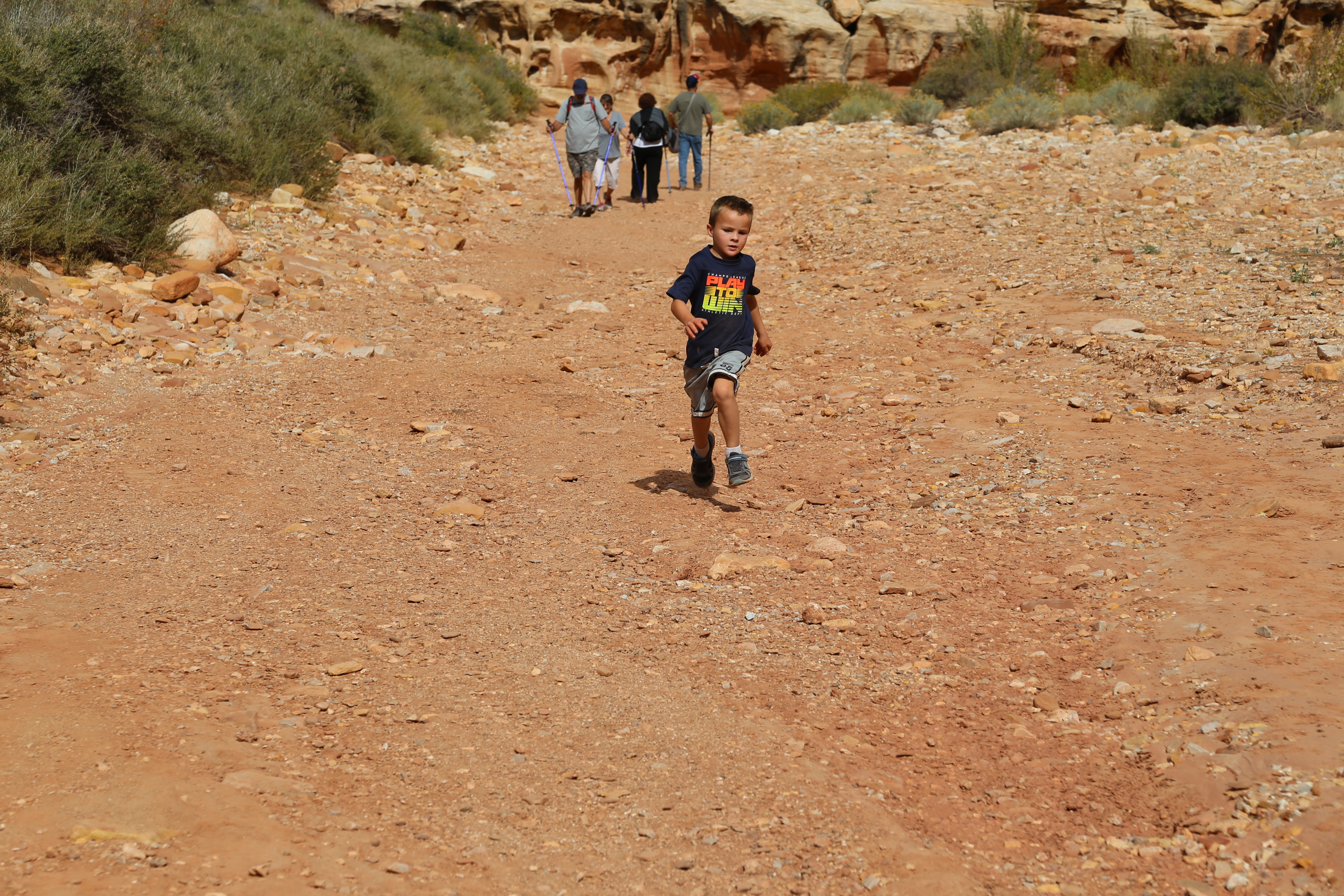 2015 Fall Break - Day 2 - Capitol Reef National Park (Grand Wash Narrows, Capitol Gorge (Petroglyphs, Narrows, Pioneer Register), Waterpocket Fold Drive (Notom-Bullfrog Road, Burr Trail Road), Hell's Backbone Grill (Boulder, Utah))