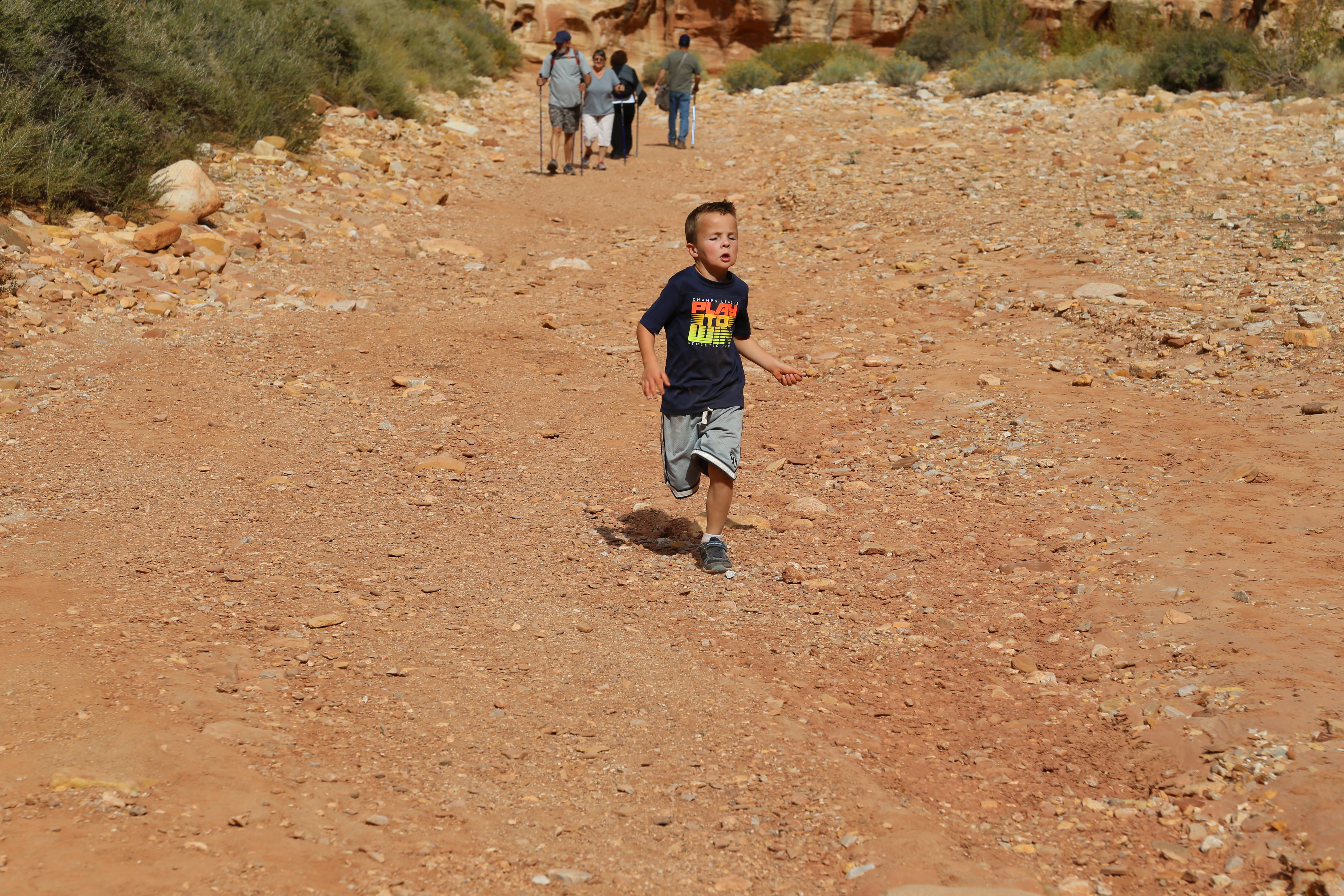 2015 Fall Break - Day 2 - Capitol Reef National Park (Grand Wash Narrows, Capitol Gorge (Petroglyphs, Narrows, Pioneer Register), Waterpocket Fold Drive (Notom-Bullfrog Road, Burr Trail Road), Hell's Backbone Grill (Boulder, Utah))