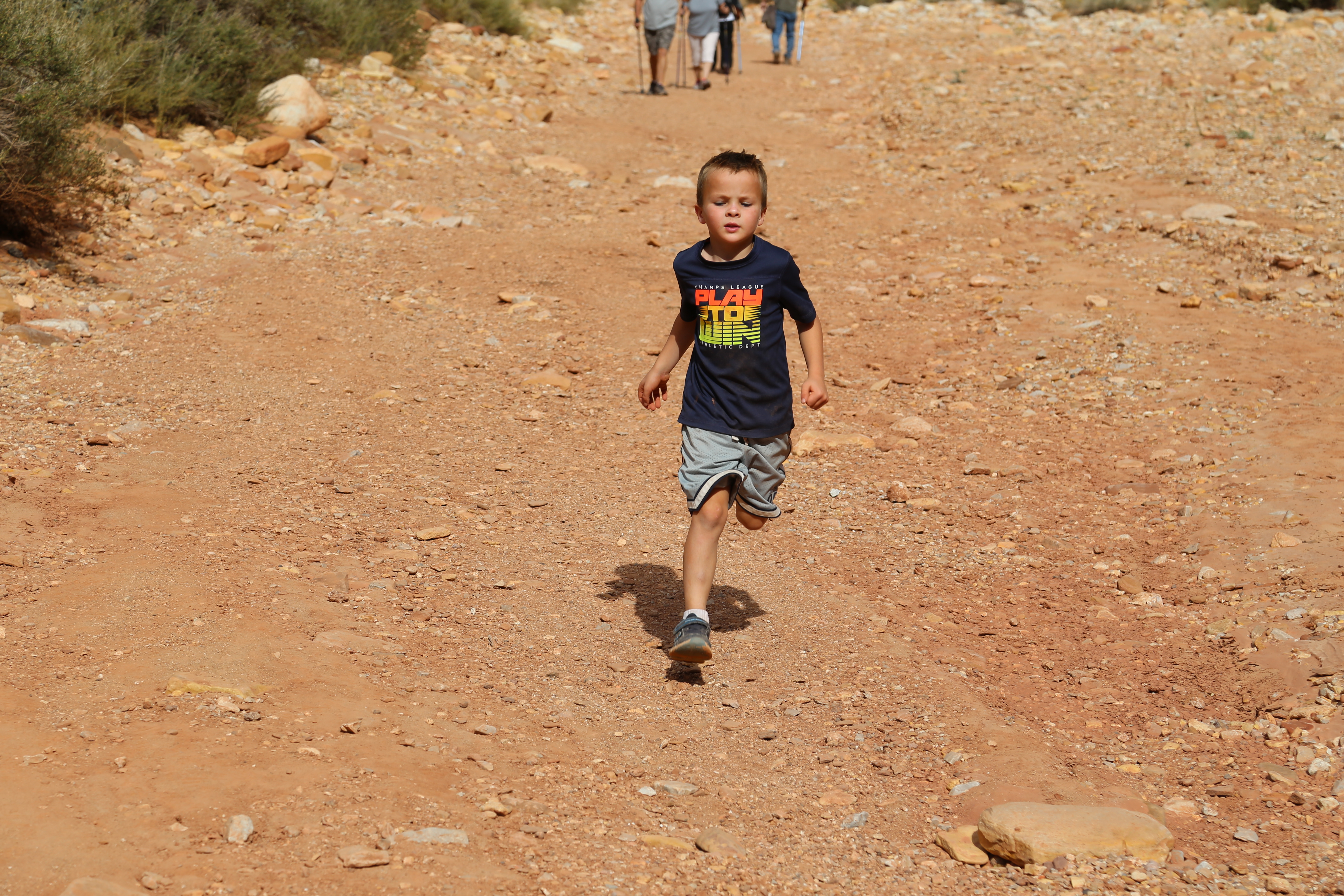 2015 Fall Break - Day 2 - Capitol Reef National Park (Grand Wash Narrows, Capitol Gorge (Petroglyphs, Narrows, Pioneer Register), Waterpocket Fold Drive (Notom-Bullfrog Road, Burr Trail Road), Hell's Backbone Grill (Boulder, Utah))