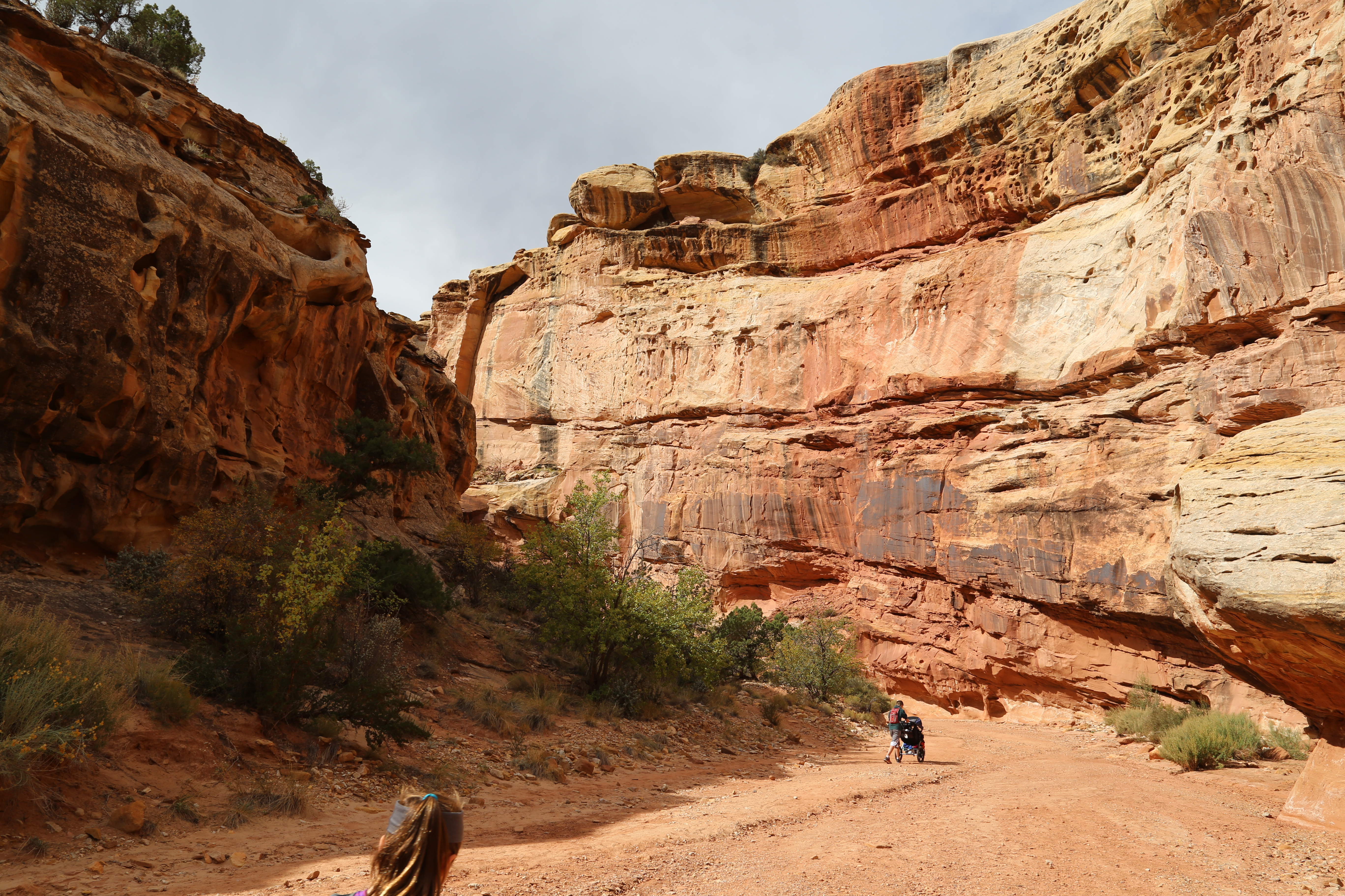 2015 Fall Break - Day 2 - Capitol Reef National Park (Grand Wash Narrows, Capitol Gorge (Petroglyphs, Narrows, Pioneer Register), Waterpocket Fold Drive (Notom-Bullfrog Road, Burr Trail Road), Hell's Backbone Grill (Boulder, Utah))