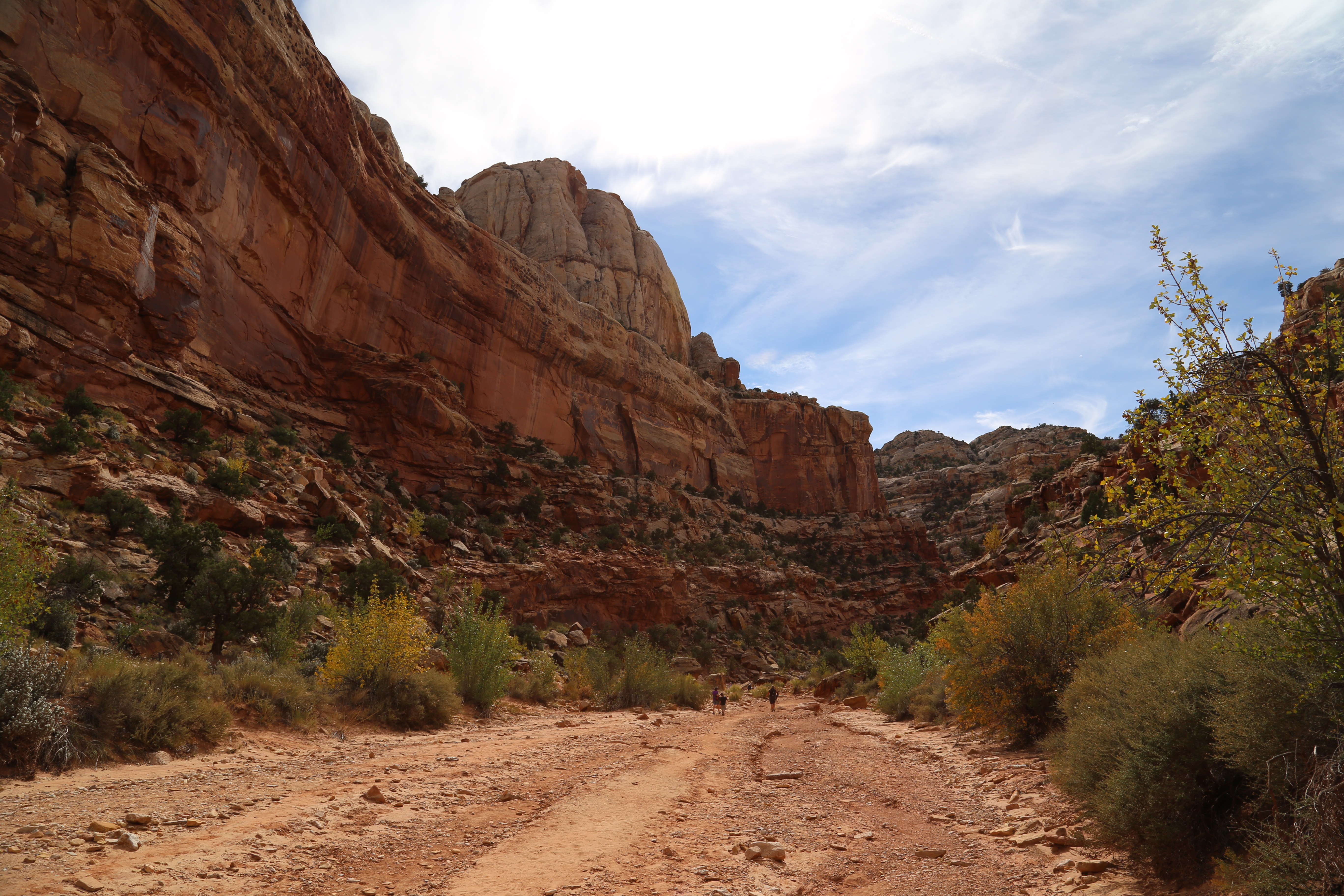 2015 Fall Break - Day 2 - Capitol Reef National Park (Grand Wash Narrows, Capitol Gorge (Petroglyphs, Narrows, Pioneer Register), Waterpocket Fold Drive (Notom-Bullfrog Road, Burr Trail Road), Hell's Backbone Grill (Boulder, Utah))