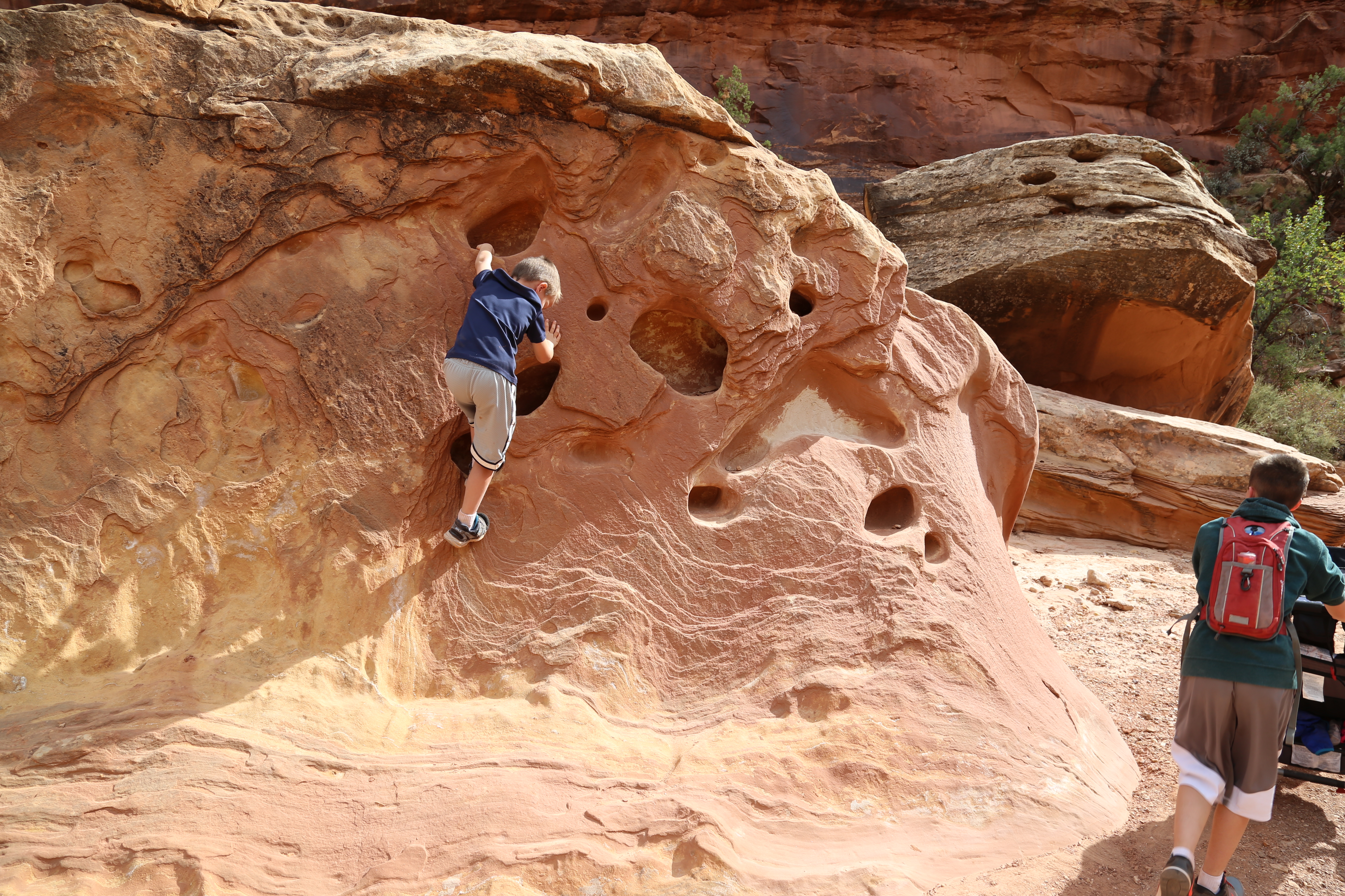 2015 Fall Break - Day 2 - Capitol Reef National Park (Grand Wash Narrows, Capitol Gorge (Petroglyphs, Narrows, Pioneer Register), Waterpocket Fold Drive (Notom-Bullfrog Road, Burr Trail Road), Hell's Backbone Grill (Boulder, Utah))