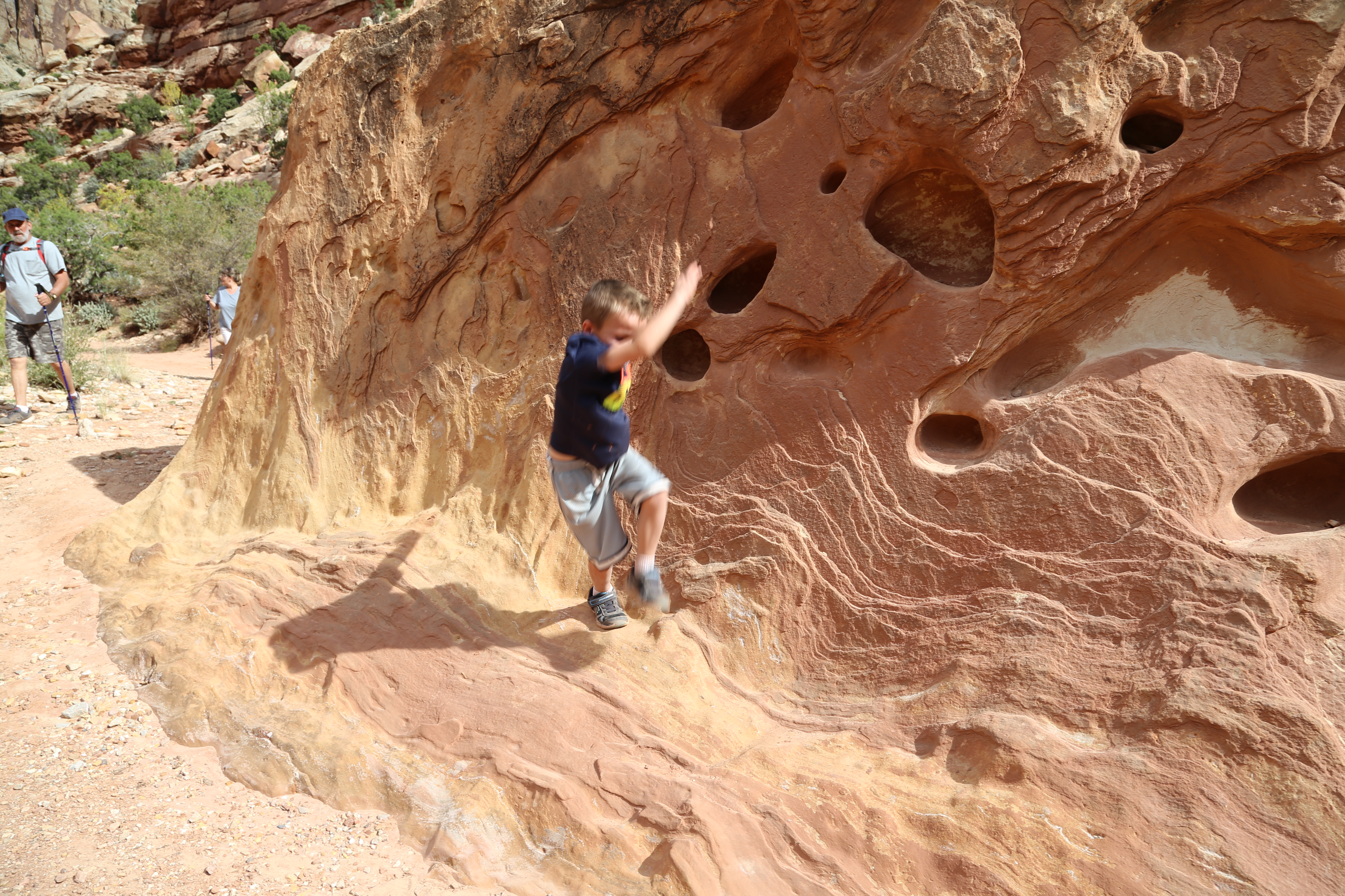 2015 Fall Break - Day 2 - Capitol Reef National Park (Grand Wash Narrows, Capitol Gorge (Petroglyphs, Narrows, Pioneer Register), Waterpocket Fold Drive (Notom-Bullfrog Road, Burr Trail Road), Hell's Backbone Grill (Boulder, Utah))