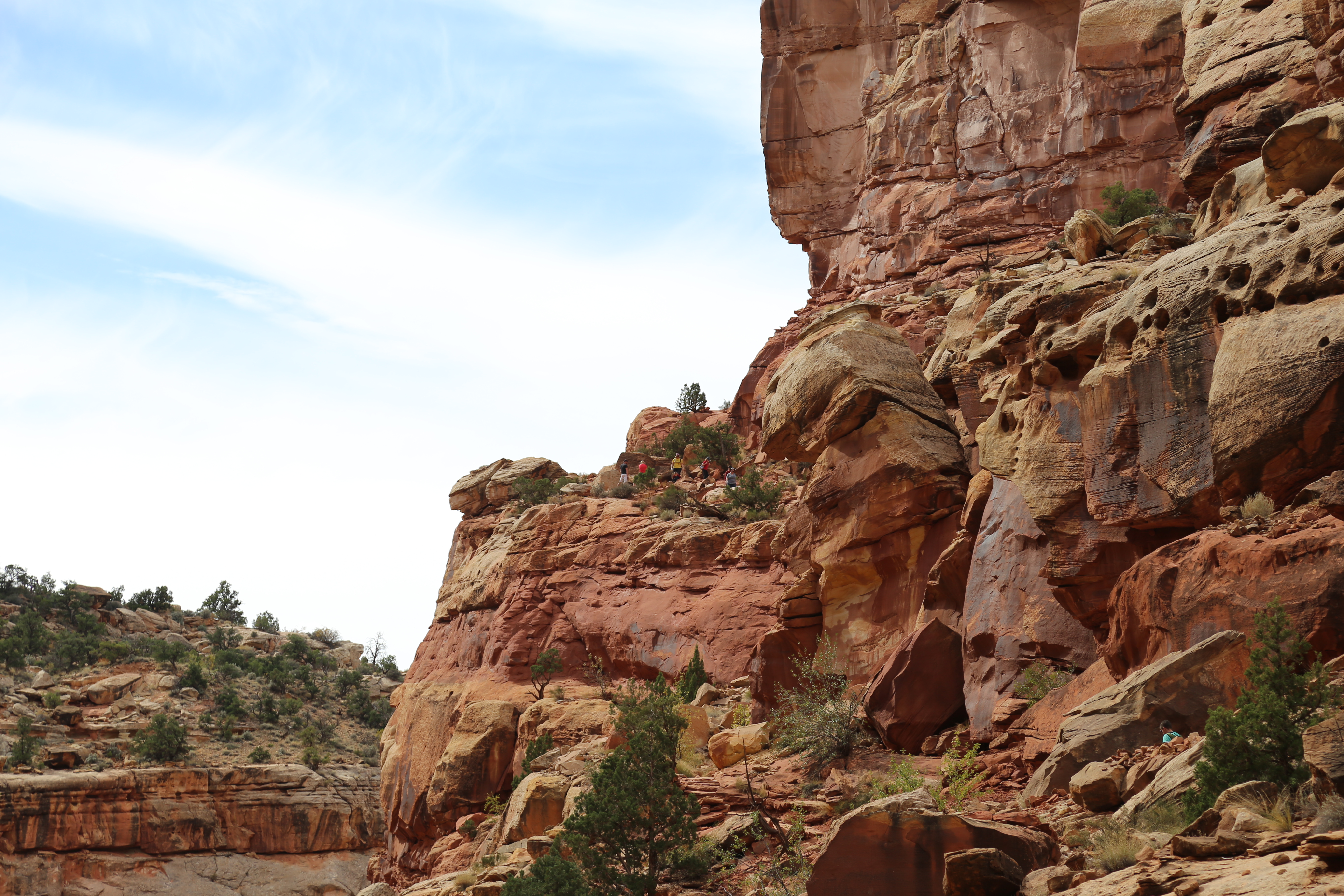 2015 Fall Break - Day 2 - Capitol Reef National Park (Grand Wash Narrows, Capitol Gorge (Petroglyphs, Narrows, Pioneer Register), Waterpocket Fold Drive (Notom-Bullfrog Road, Burr Trail Road), Hell's Backbone Grill (Boulder, Utah))