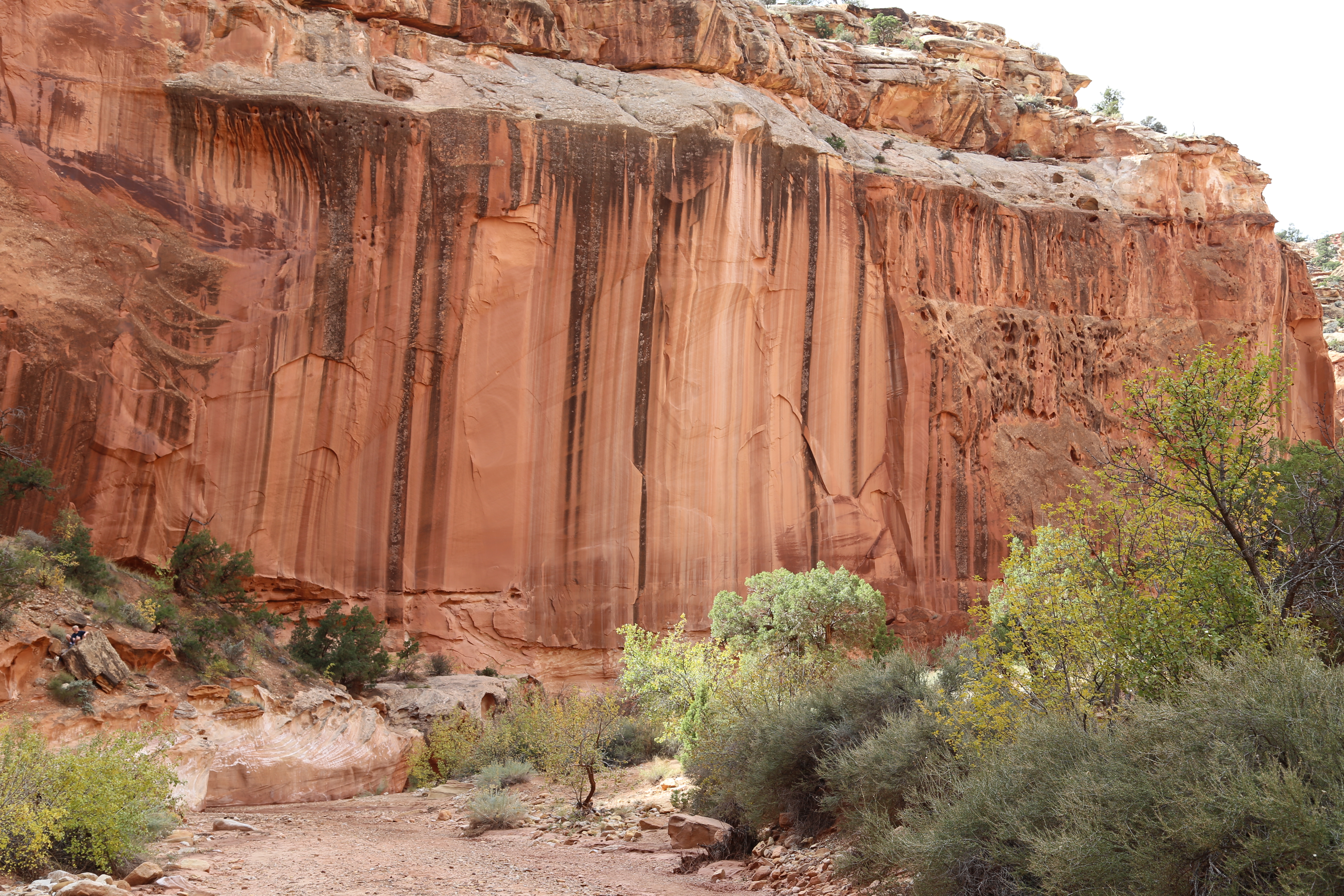 2015 Fall Break - Day 2 - Capitol Reef National Park (Grand Wash Narrows, Capitol Gorge (Petroglyphs, Narrows, Pioneer Register), Waterpocket Fold Drive (Notom-Bullfrog Road, Burr Trail Road), Hell's Backbone Grill (Boulder, Utah))