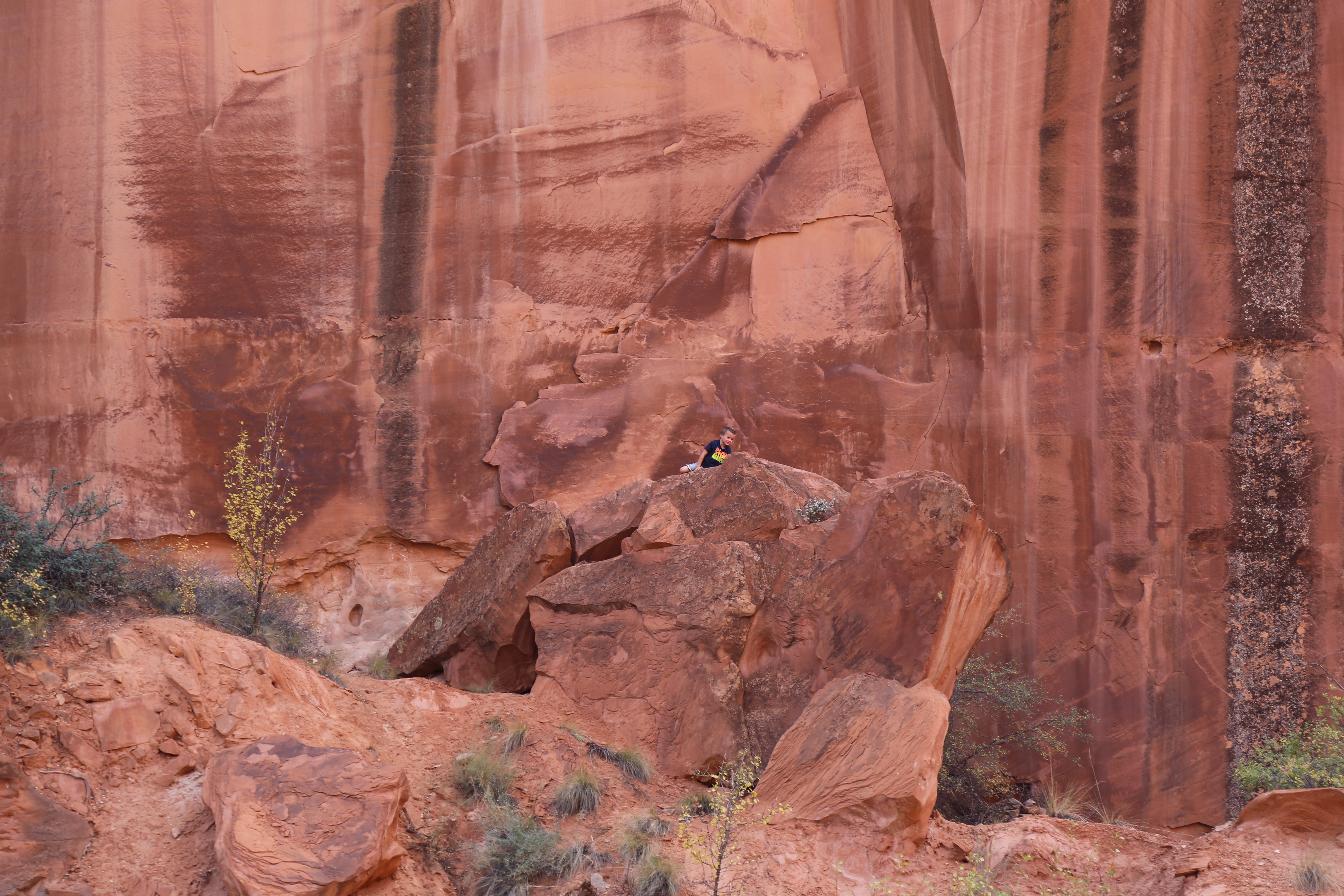 2015 Fall Break - Day 2 - Capitol Reef National Park (Grand Wash Narrows, Capitol Gorge (Petroglyphs, Narrows, Pioneer Register), Waterpocket Fold Drive (Notom-Bullfrog Road, Burr Trail Road), Hell's Backbone Grill (Boulder, Utah))