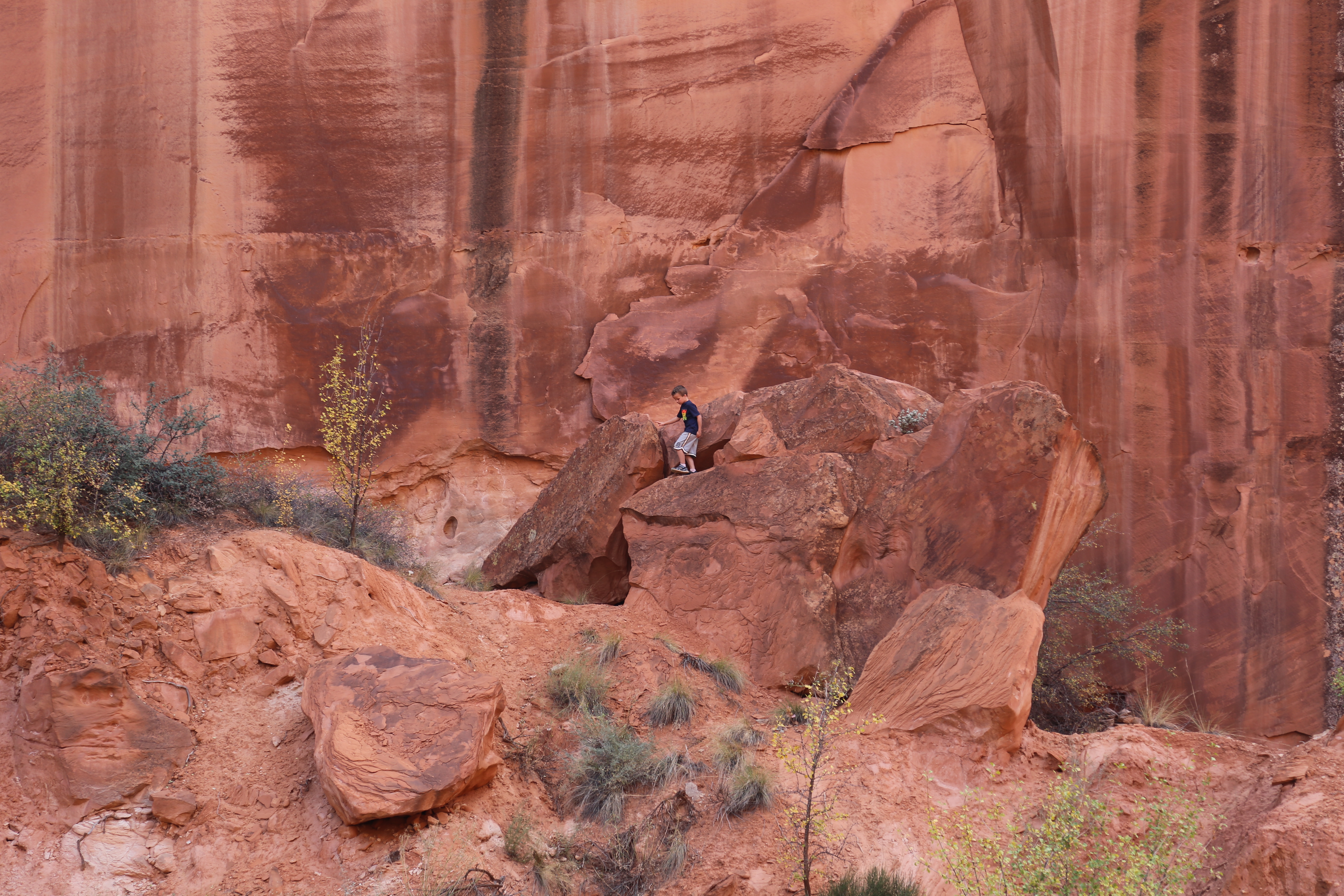 2015 Fall Break - Day 2 - Capitol Reef National Park (Grand Wash Narrows, Capitol Gorge (Petroglyphs, Narrows, Pioneer Register), Waterpocket Fold Drive (Notom-Bullfrog Road, Burr Trail Road), Hell's Backbone Grill (Boulder, Utah))