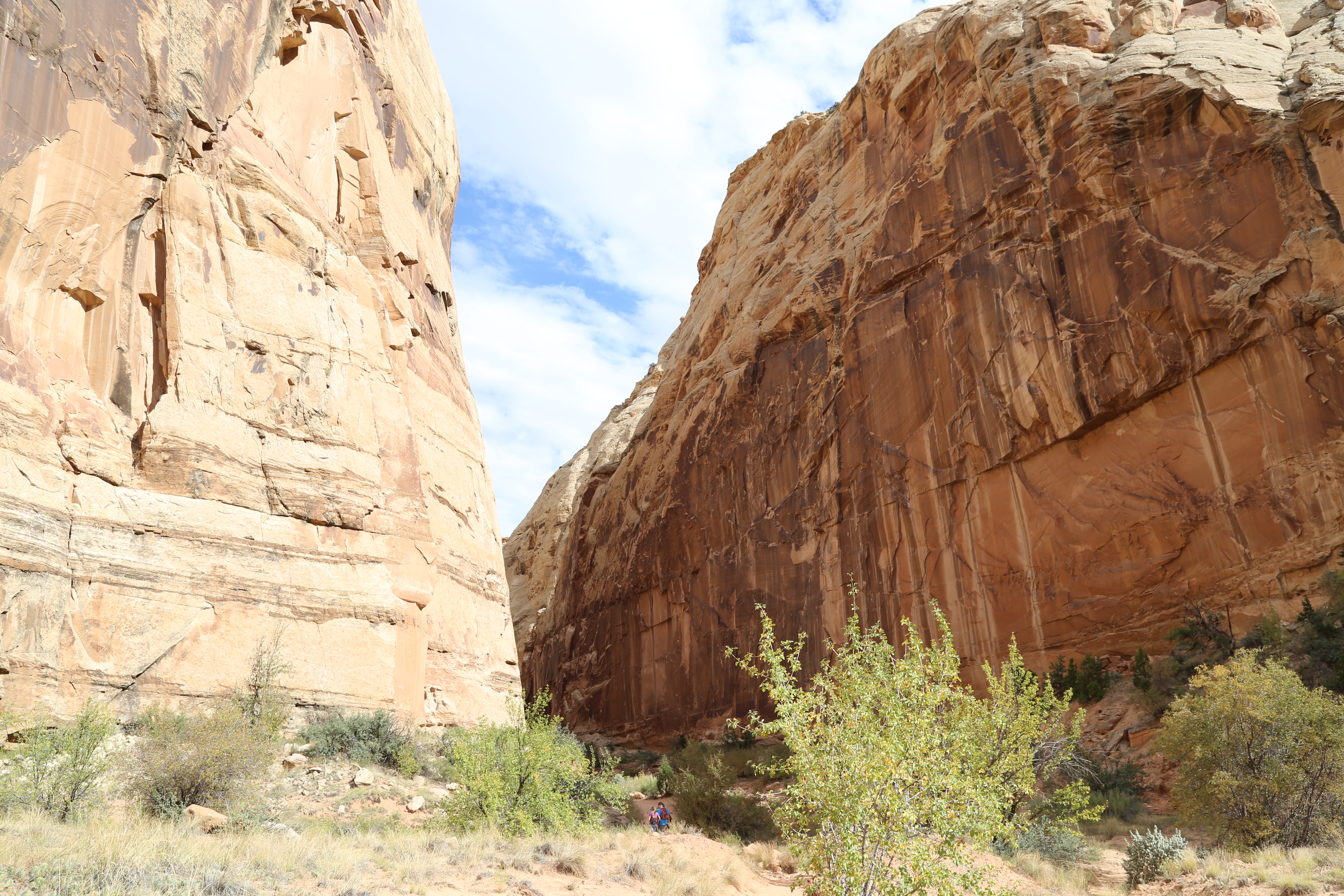 2015 Fall Break - Day 2 - Capitol Reef National Park (Grand Wash Narrows, Capitol Gorge (Petroglyphs, Narrows, Pioneer Register), Waterpocket Fold Drive (Notom-Bullfrog Road, Burr Trail Road), Hell's Backbone Grill (Boulder, Utah))