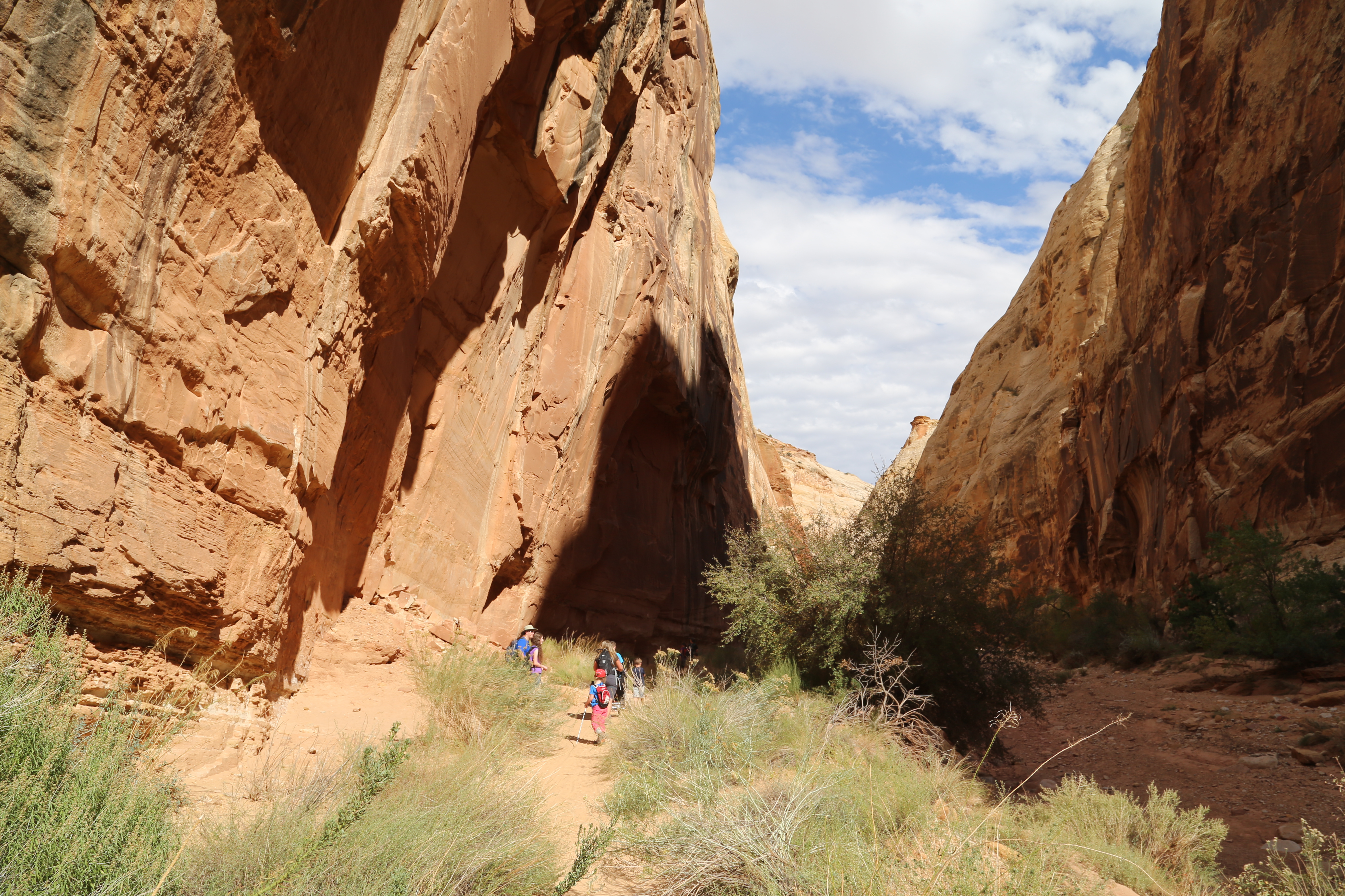 2015 Fall Break - Day 2 - Capitol Reef National Park (Grand Wash Narrows, Capitol Gorge (Petroglyphs, Narrows, Pioneer Register), Waterpocket Fold Drive (Notom-Bullfrog Road, Burr Trail Road), Hell's Backbone Grill (Boulder, Utah))