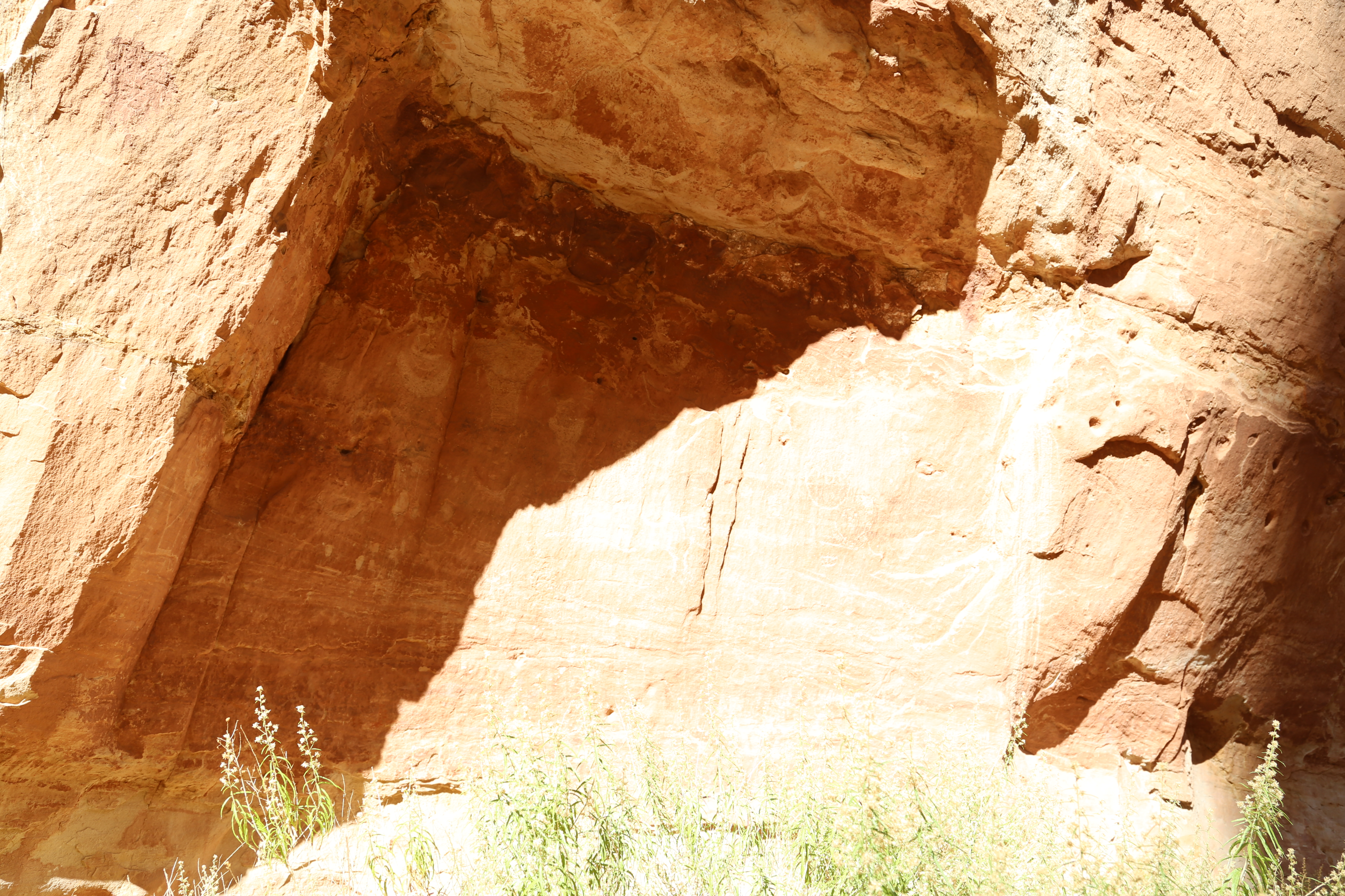 2015 Fall Break - Day 2 - Capitol Reef National Park (Grand Wash Narrows, Capitol Gorge (Petroglyphs, Narrows, Pioneer Register), Waterpocket Fold Drive (Notom-Bullfrog Road, Burr Trail Road), Hell's Backbone Grill (Boulder, Utah))