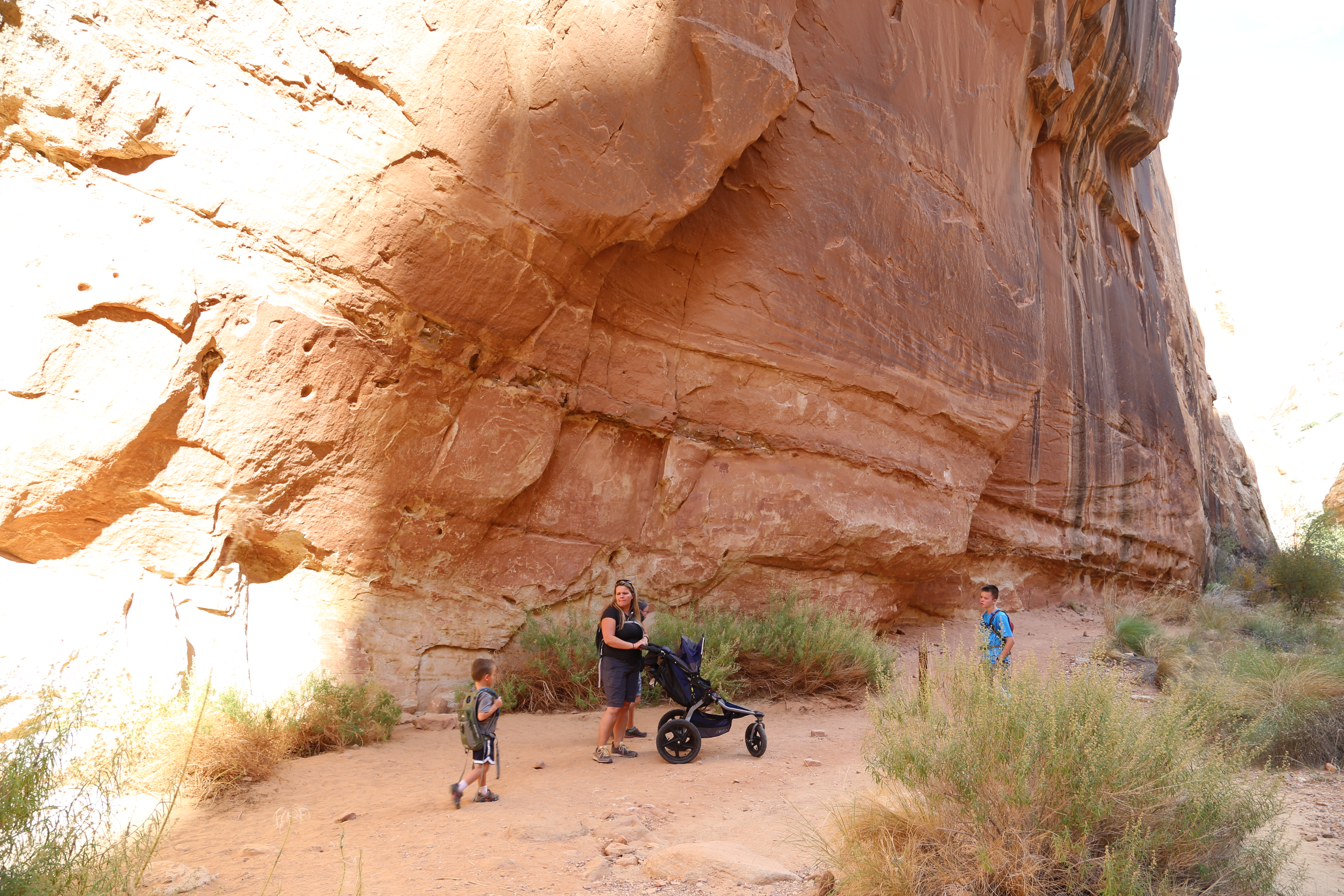 2015 Fall Break - Day 2 - Capitol Reef National Park (Grand Wash Narrows, Capitol Gorge (Petroglyphs, Narrows, Pioneer Register), Waterpocket Fold Drive (Notom-Bullfrog Road, Burr Trail Road), Hell's Backbone Grill (Boulder, Utah))