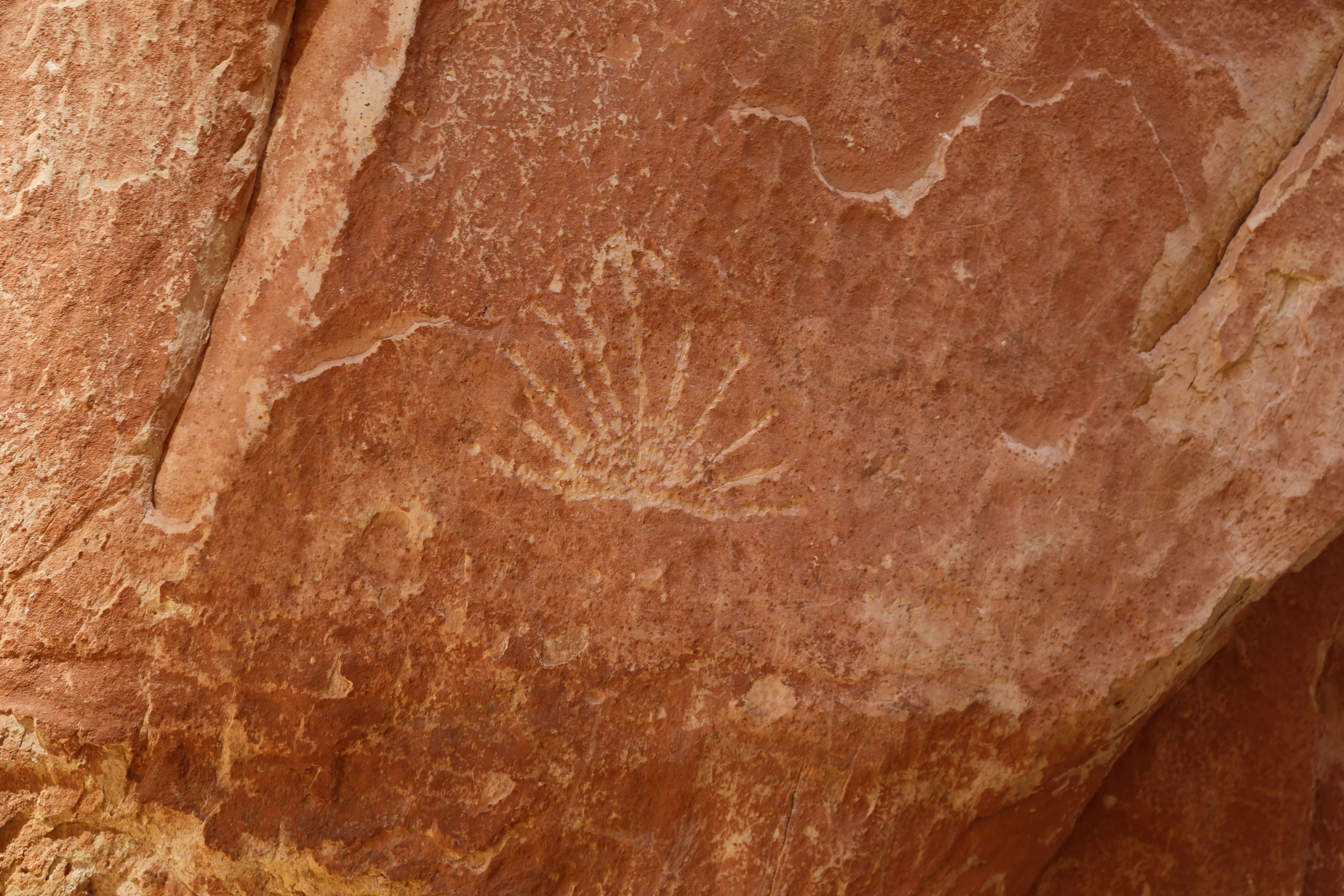 2015 Fall Break - Day 2 - Capitol Reef National Park (Grand Wash Narrows, Capitol Gorge (Petroglyphs, Narrows, Pioneer Register), Waterpocket Fold Drive (Notom-Bullfrog Road, Burr Trail Road), Hell's Backbone Grill (Boulder, Utah))