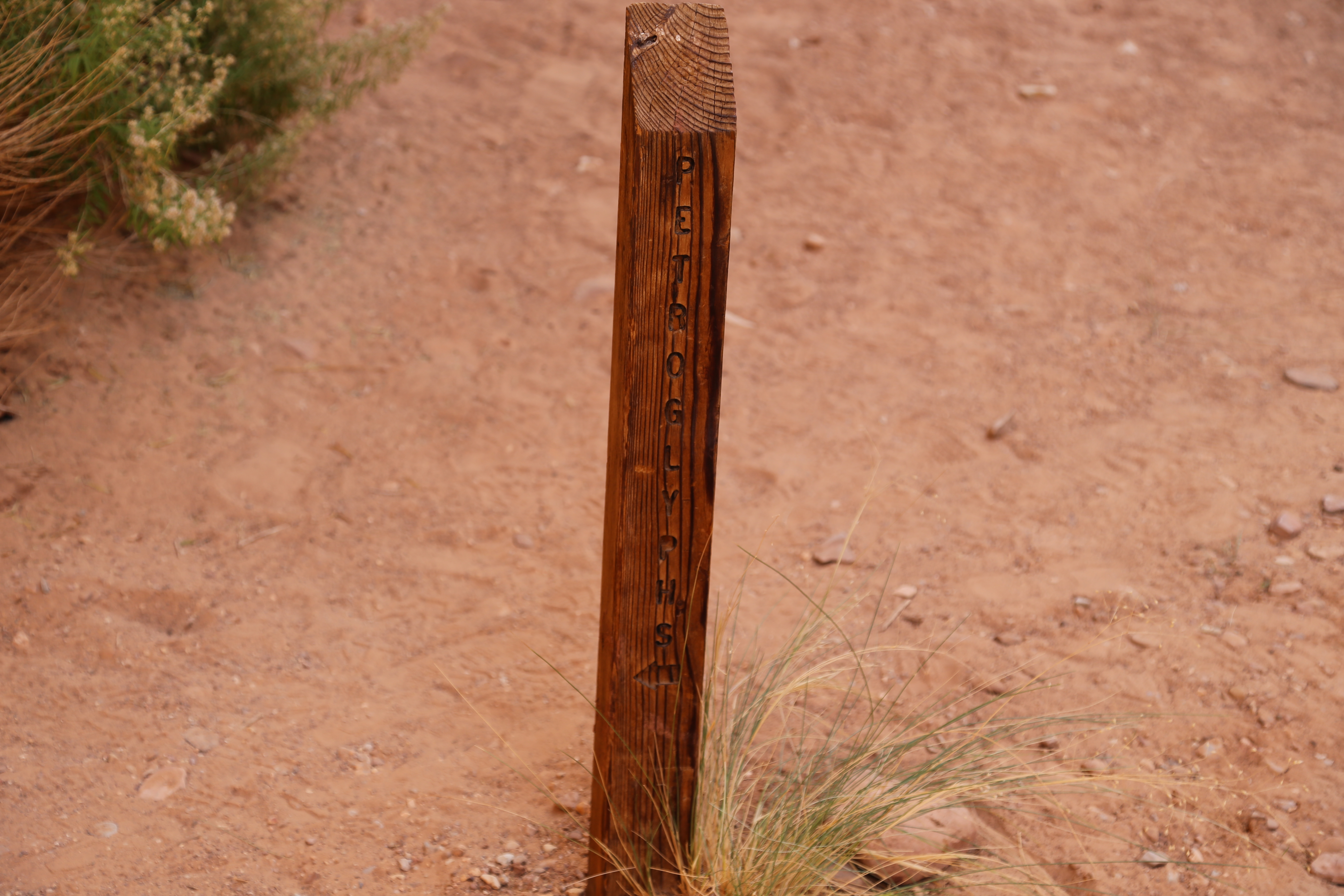 2015 Fall Break - Day 2 - Capitol Reef National Park (Grand Wash Narrows, Capitol Gorge (Petroglyphs, Narrows, Pioneer Register), Waterpocket Fold Drive (Notom-Bullfrog Road, Burr Trail Road), Hell's Backbone Grill (Boulder, Utah))