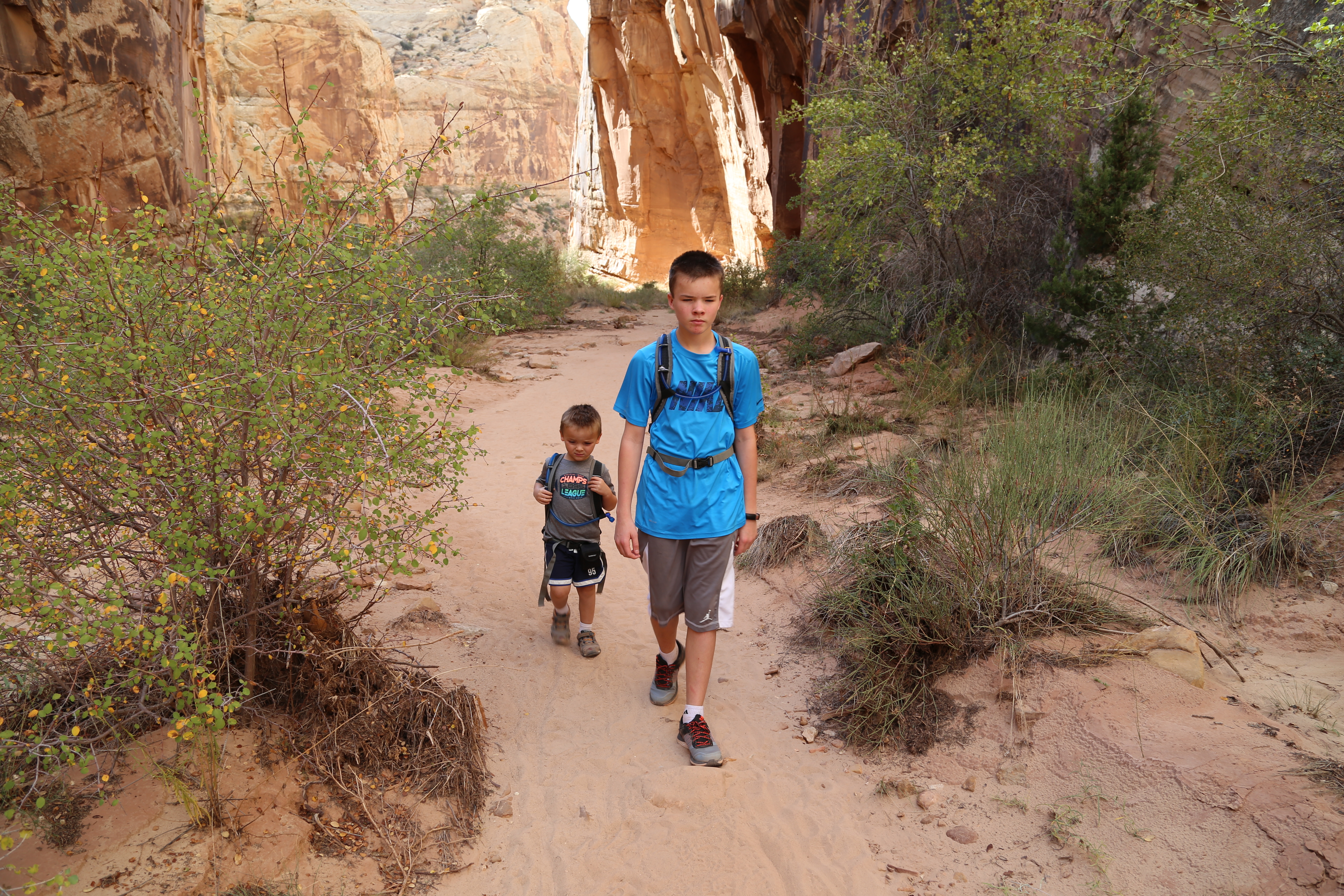 2015 Fall Break - Day 2 - Capitol Reef National Park (Grand Wash Narrows, Capitol Gorge (Petroglyphs, Narrows, Pioneer Register), Waterpocket Fold Drive (Notom-Bullfrog Road, Burr Trail Road), Hell's Backbone Grill (Boulder, Utah))