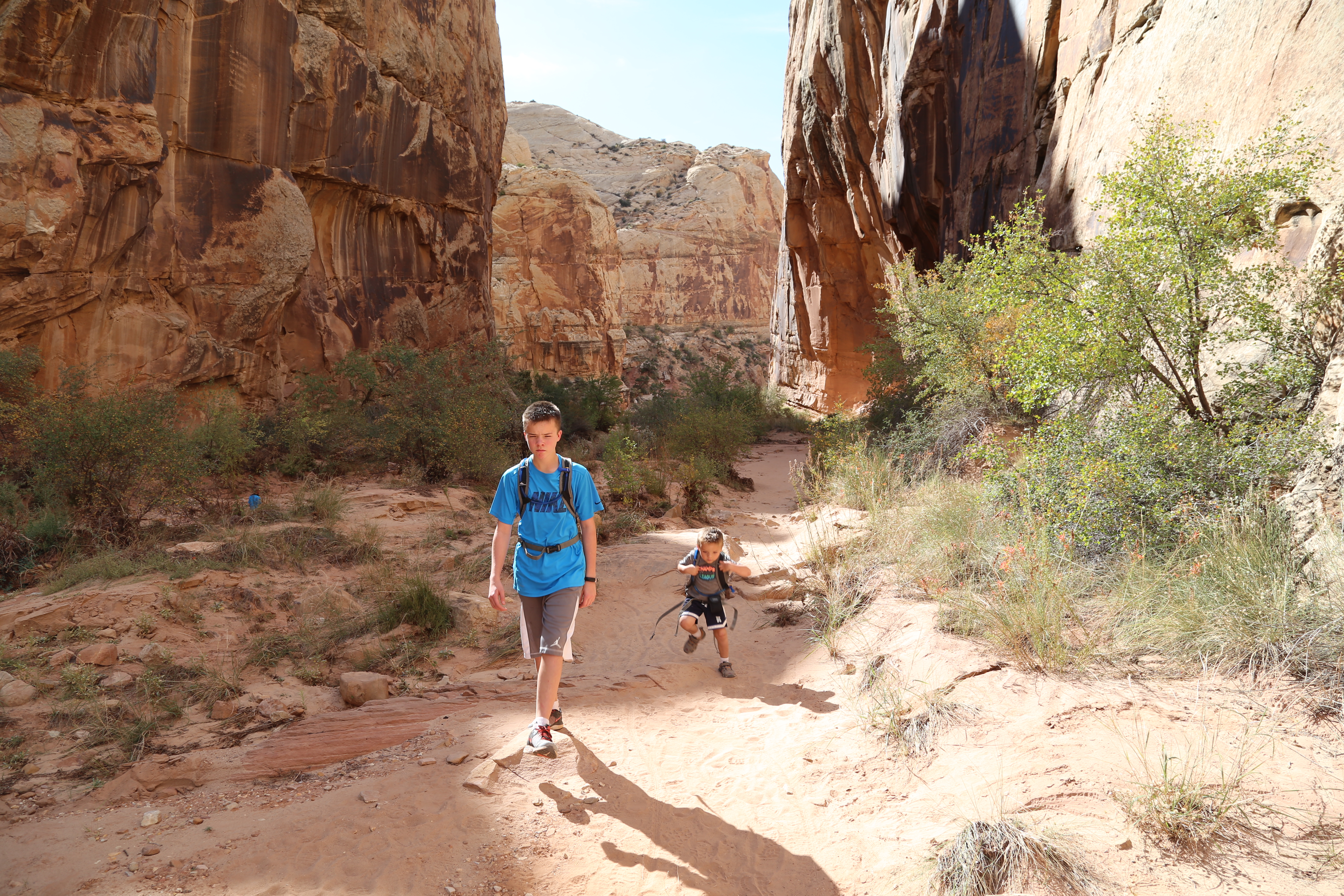 2015 Fall Break - Day 2 - Capitol Reef National Park (Grand Wash Narrows, Capitol Gorge (Petroglyphs, Narrows, Pioneer Register), Waterpocket Fold Drive (Notom-Bullfrog Road, Burr Trail Road), Hell's Backbone Grill (Boulder, Utah))