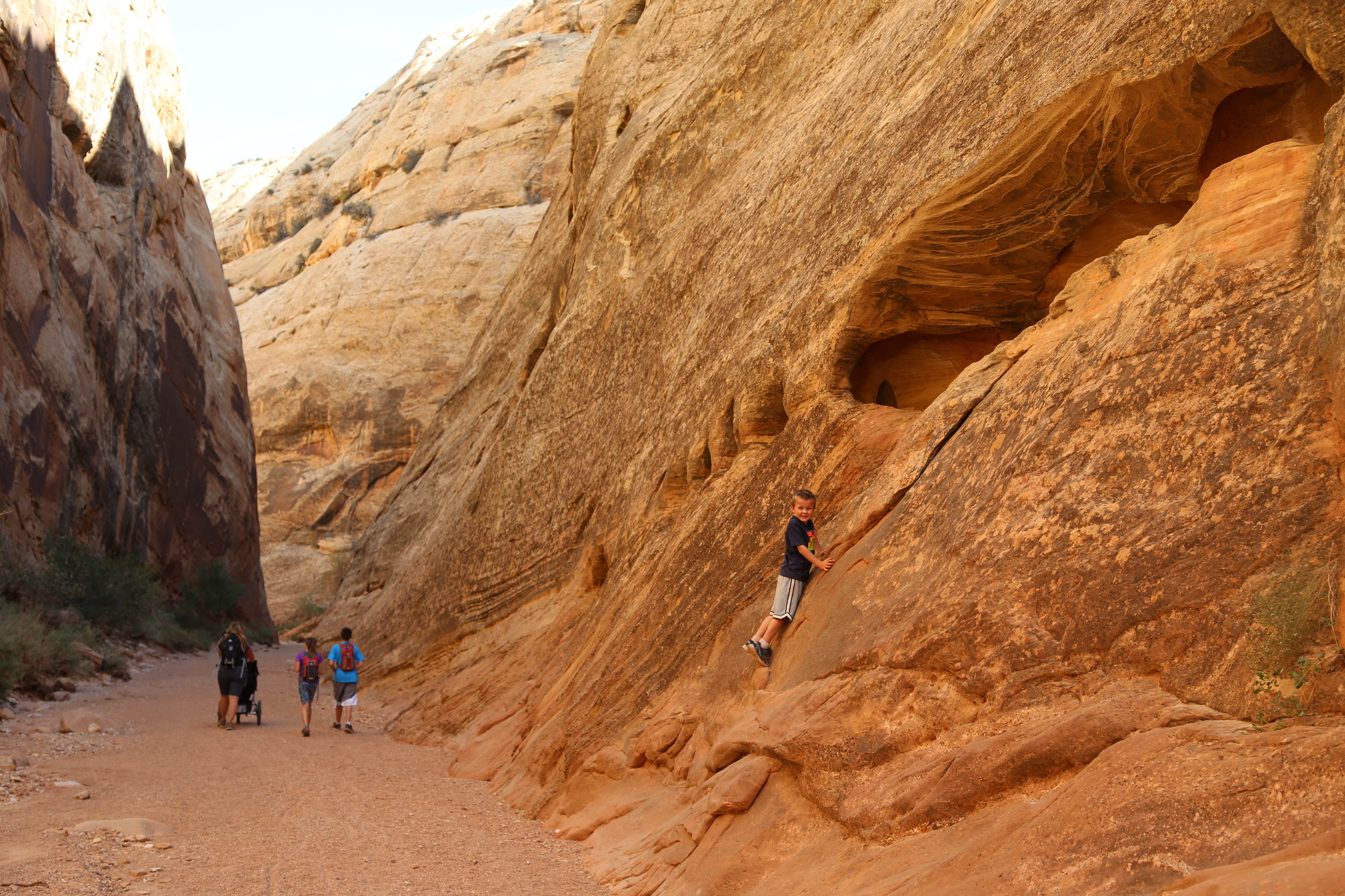 2015 Fall Break - Day 2 - Capitol Reef National Park (Grand Wash Narrows, Capitol Gorge (Petroglyphs, Narrows, Pioneer Register), Waterpocket Fold Drive (Notom-Bullfrog Road, Burr Trail Road), Hell's Backbone Grill (Boulder, Utah))