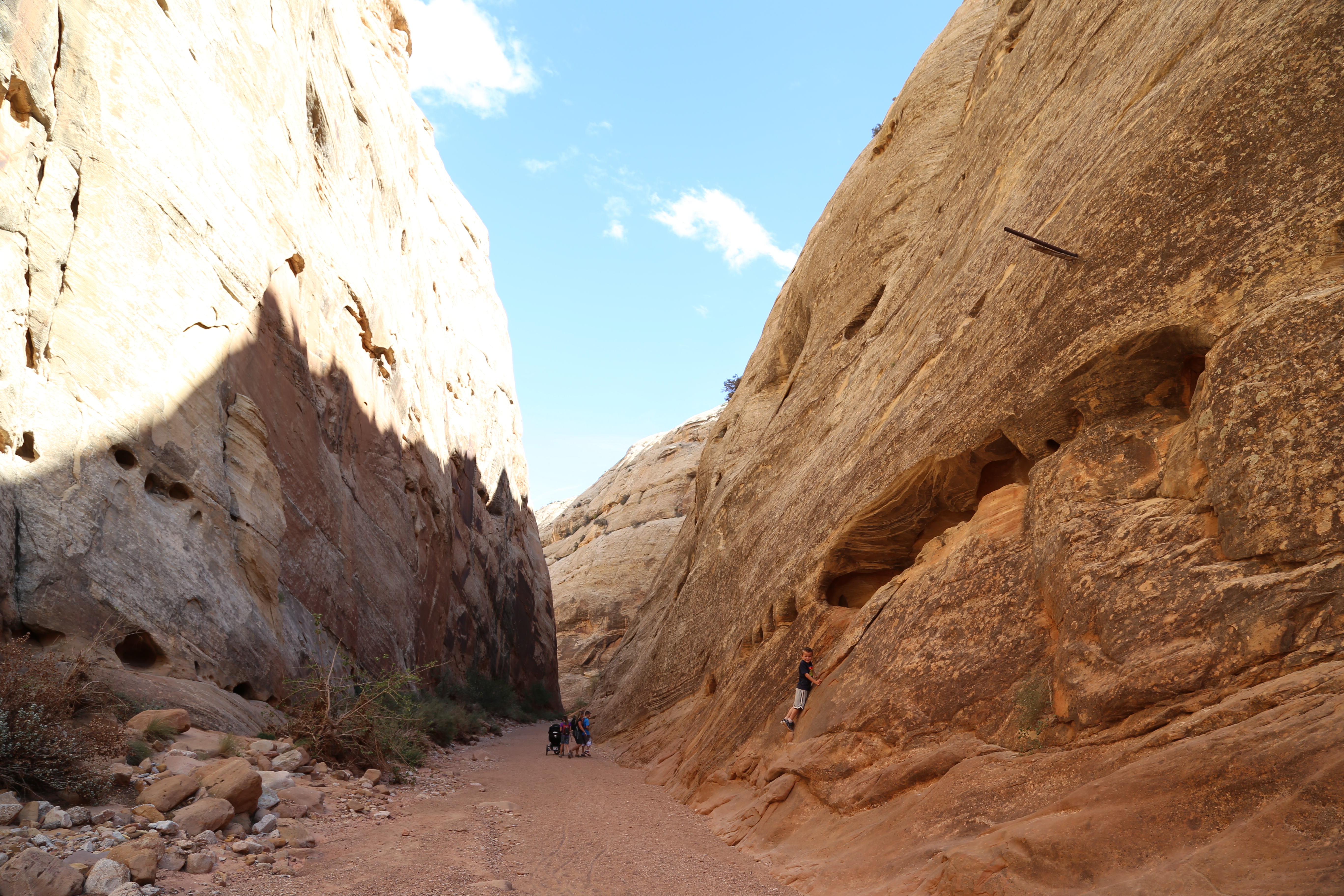 2015 Fall Break - Day 2 - Capitol Reef National Park (Grand Wash Narrows, Capitol Gorge (Petroglyphs, Narrows, Pioneer Register), Waterpocket Fold Drive (Notom-Bullfrog Road, Burr Trail Road), Hell's Backbone Grill (Boulder, Utah))