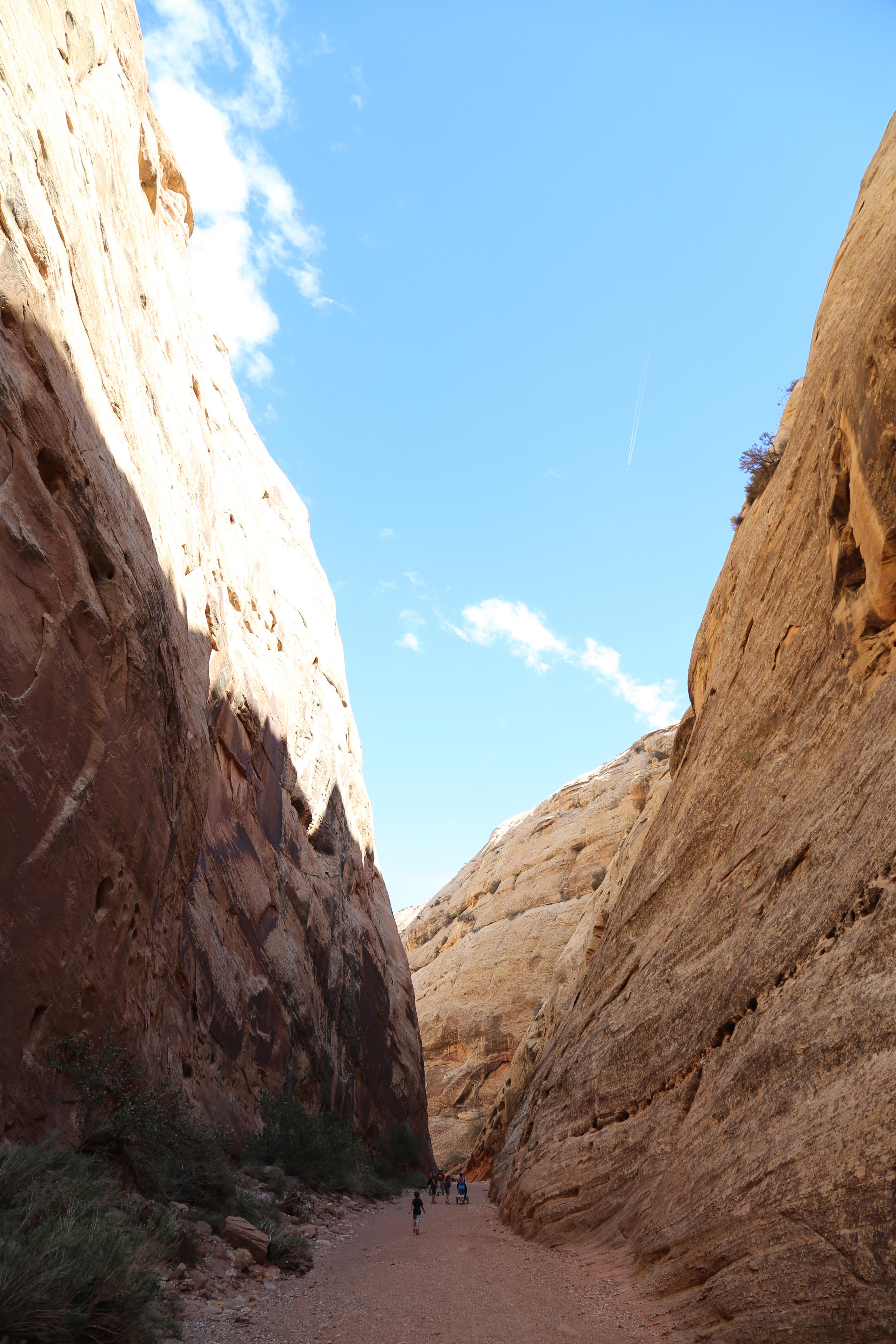 2015 Fall Break - Day 2 - Capitol Reef National Park (Grand Wash Narrows, Capitol Gorge (Petroglyphs, Narrows, Pioneer Register), Waterpocket Fold Drive (Notom-Bullfrog Road, Burr Trail Road), Hell's Backbone Grill (Boulder, Utah))