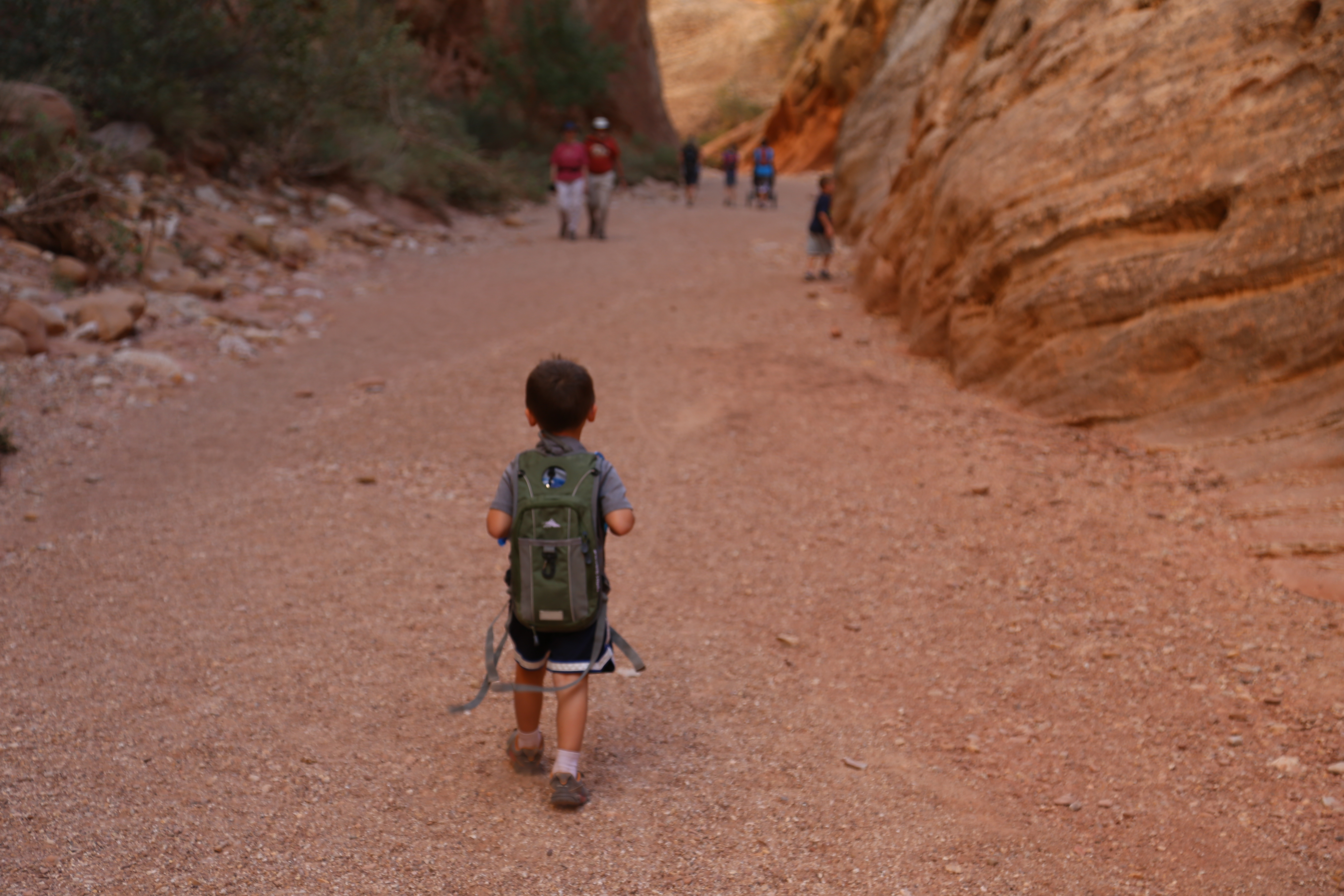 2015 Fall Break - Day 2 - Capitol Reef National Park (Grand Wash Narrows, Capitol Gorge (Petroglyphs, Narrows, Pioneer Register), Waterpocket Fold Drive (Notom-Bullfrog Road, Burr Trail Road), Hell's Backbone Grill (Boulder, Utah))