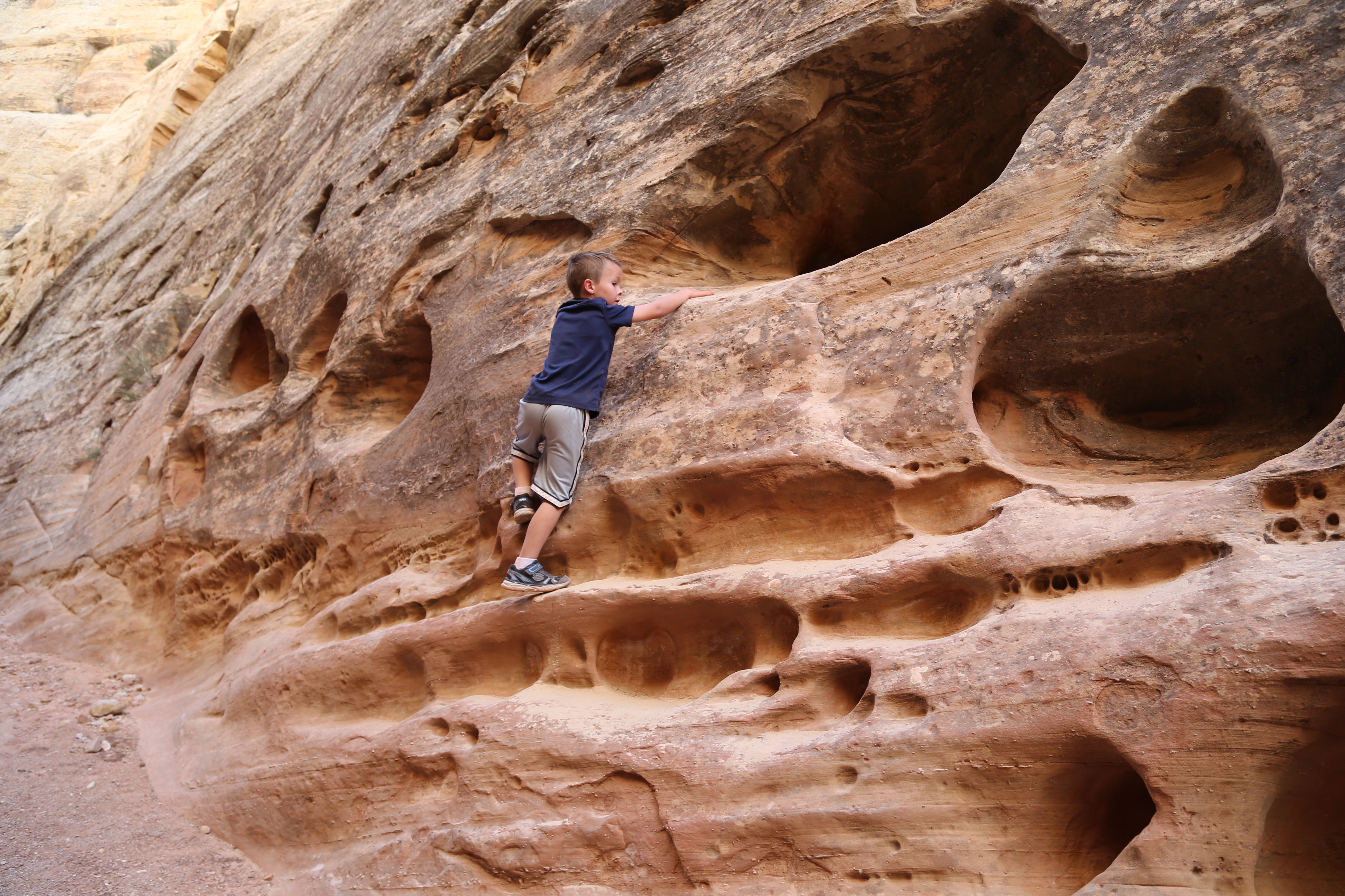 2015 Fall Break - Day 2 - Capitol Reef National Park (Grand Wash Narrows, Capitol Gorge (Petroglyphs, Narrows, Pioneer Register), Waterpocket Fold Drive (Notom-Bullfrog Road, Burr Trail Road), Hell's Backbone Grill (Boulder, Utah))