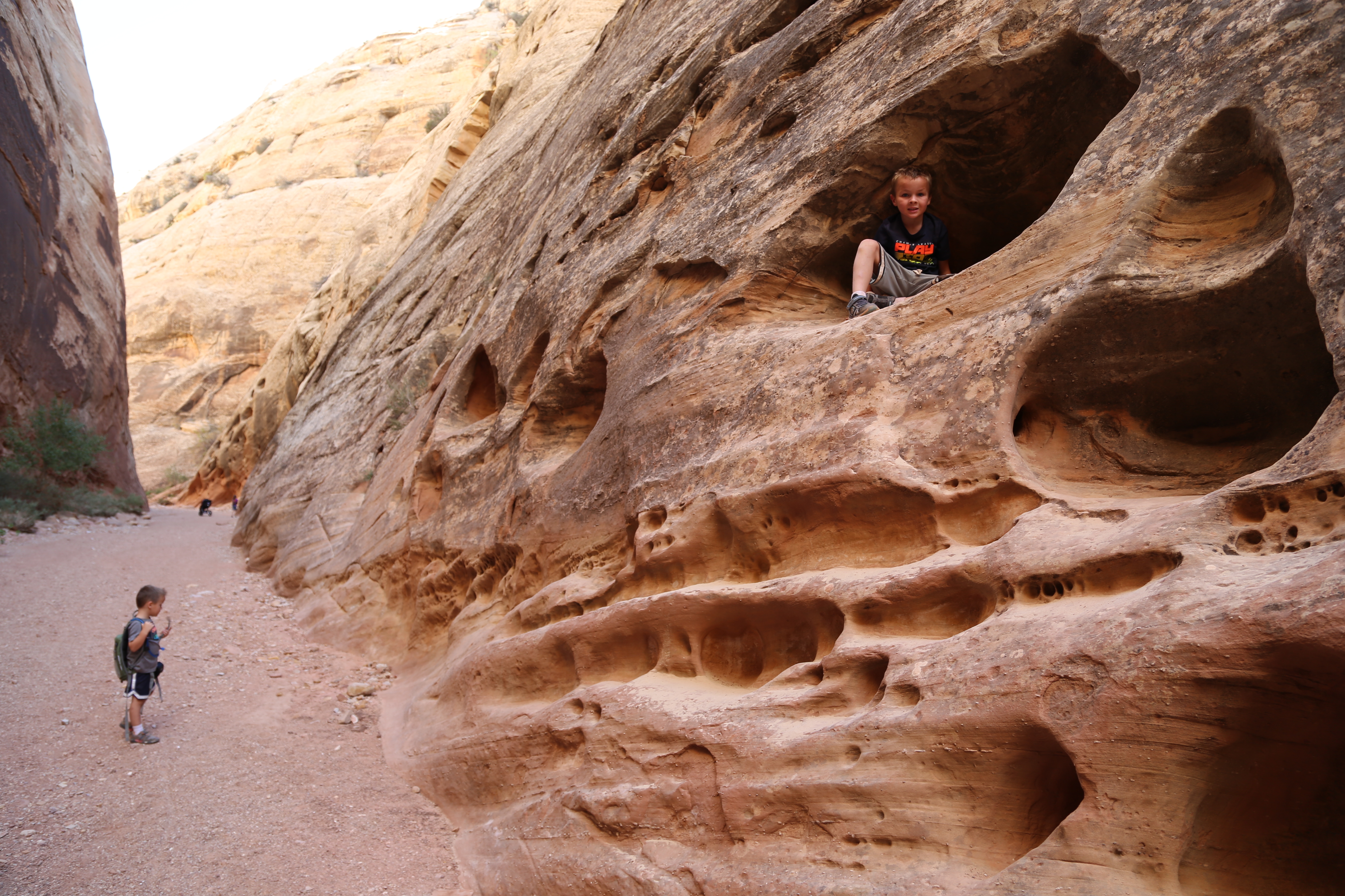 2015 Fall Break - Day 2 - Capitol Reef National Park (Grand Wash Narrows, Capitol Gorge (Petroglyphs, Narrows, Pioneer Register), Waterpocket Fold Drive (Notom-Bullfrog Road, Burr Trail Road), Hell's Backbone Grill (Boulder, Utah))