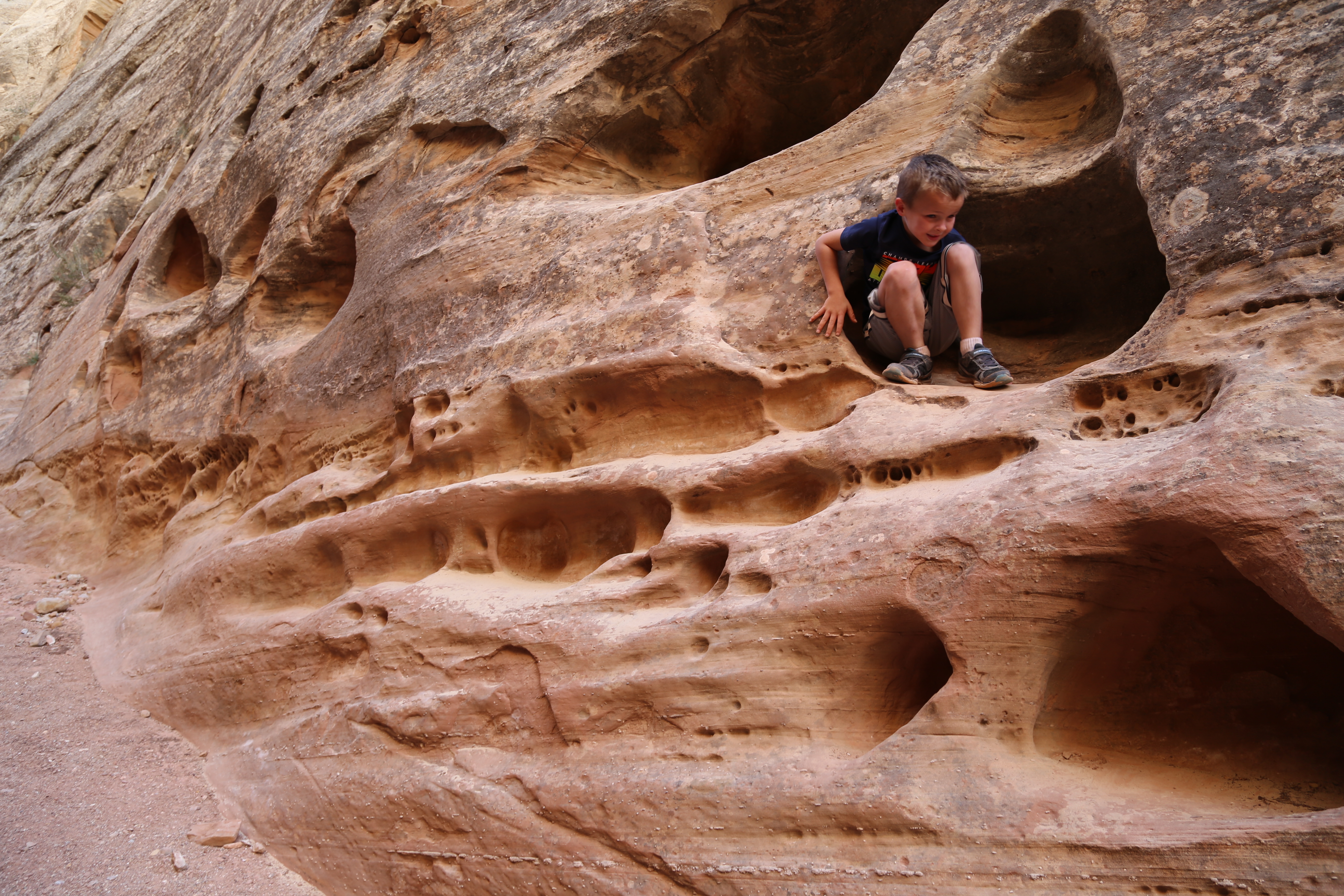 2015 Fall Break - Day 2 - Capitol Reef National Park (Grand Wash Narrows, Capitol Gorge (Petroglyphs, Narrows, Pioneer Register), Waterpocket Fold Drive (Notom-Bullfrog Road, Burr Trail Road), Hell's Backbone Grill (Boulder, Utah))