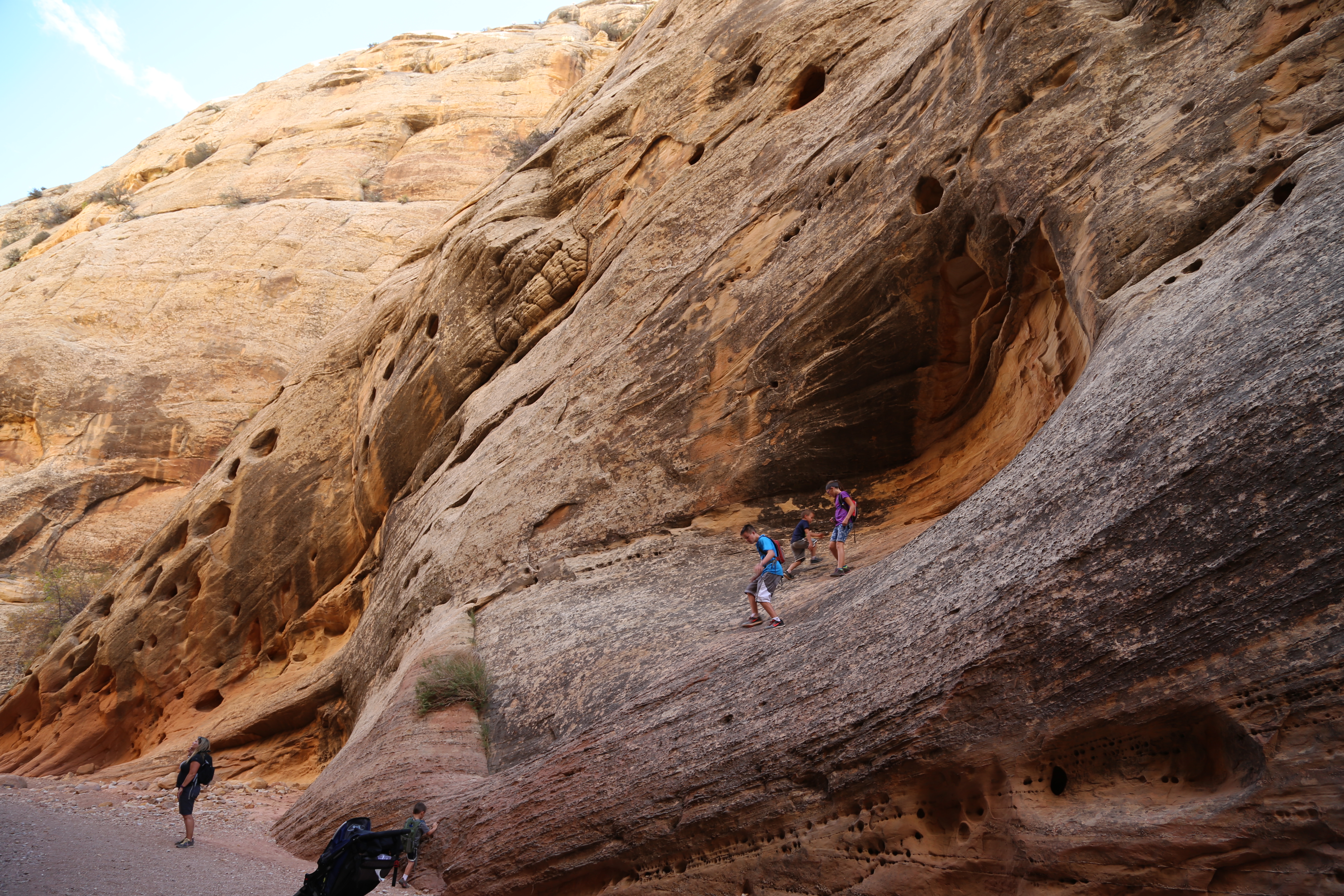 2015 Fall Break - Day 2 - Capitol Reef National Park (Grand Wash Narrows, Capitol Gorge (Petroglyphs, Narrows, Pioneer Register), Waterpocket Fold Drive (Notom-Bullfrog Road, Burr Trail Road), Hell's Backbone Grill (Boulder, Utah))