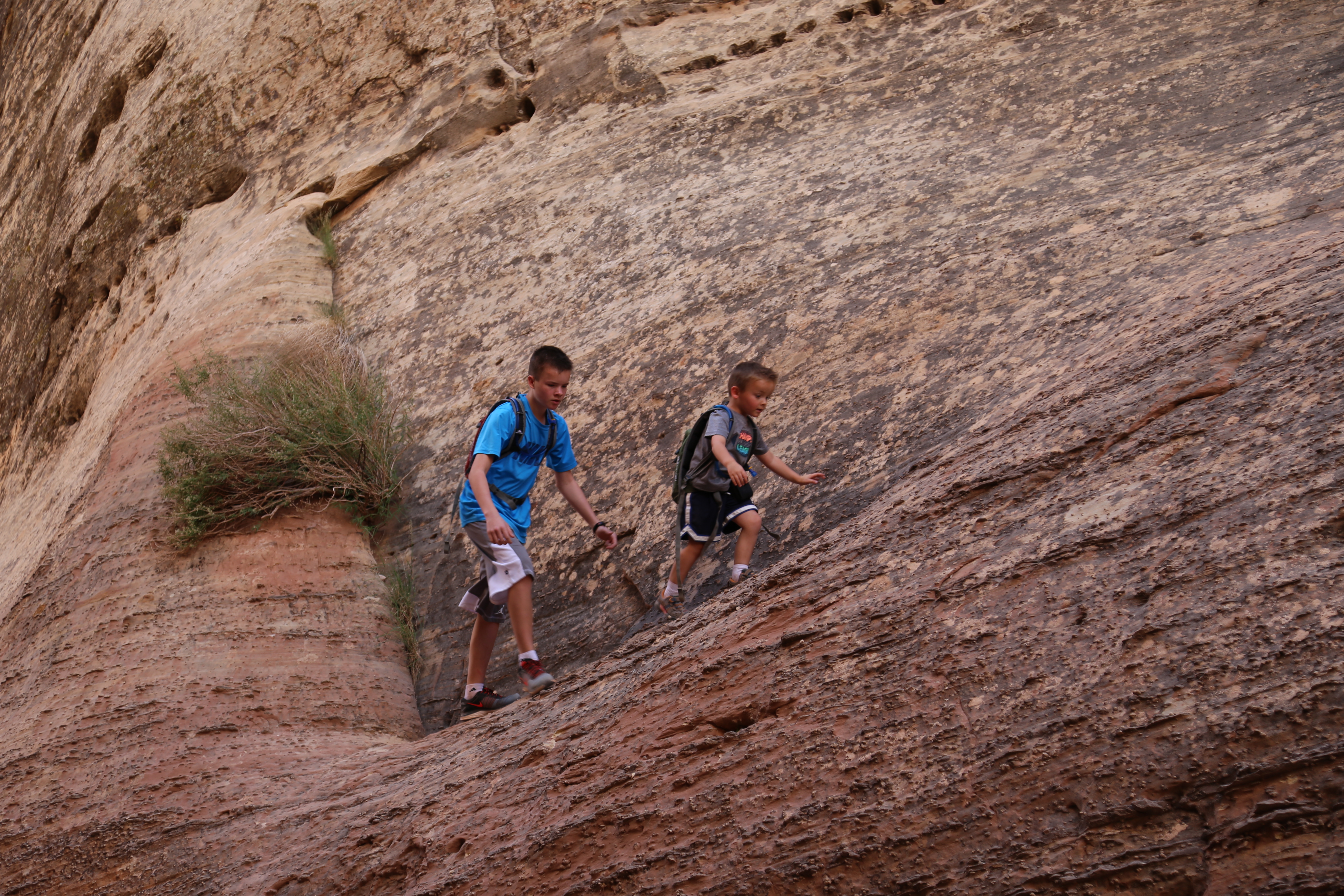 2015 Fall Break - Day 2 - Capitol Reef National Park (Grand Wash Narrows, Capitol Gorge (Petroglyphs, Narrows, Pioneer Register), Waterpocket Fold Drive (Notom-Bullfrog Road, Burr Trail Road), Hell's Backbone Grill (Boulder, Utah))