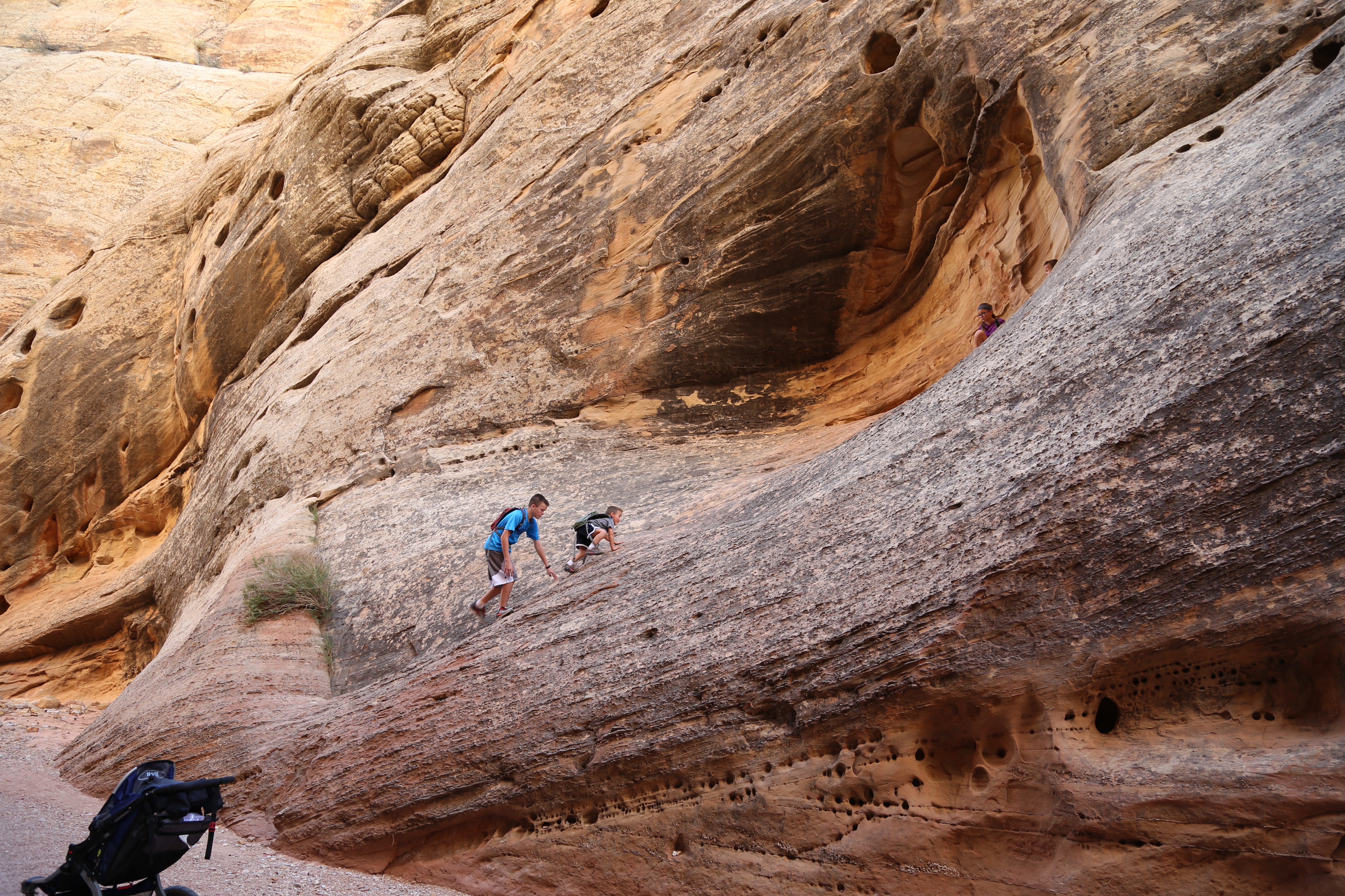 2015 Fall Break - Day 2 - Capitol Reef National Park (Grand Wash Narrows, Capitol Gorge (Petroglyphs, Narrows, Pioneer Register), Waterpocket Fold Drive (Notom-Bullfrog Road, Burr Trail Road), Hell's Backbone Grill (Boulder, Utah))