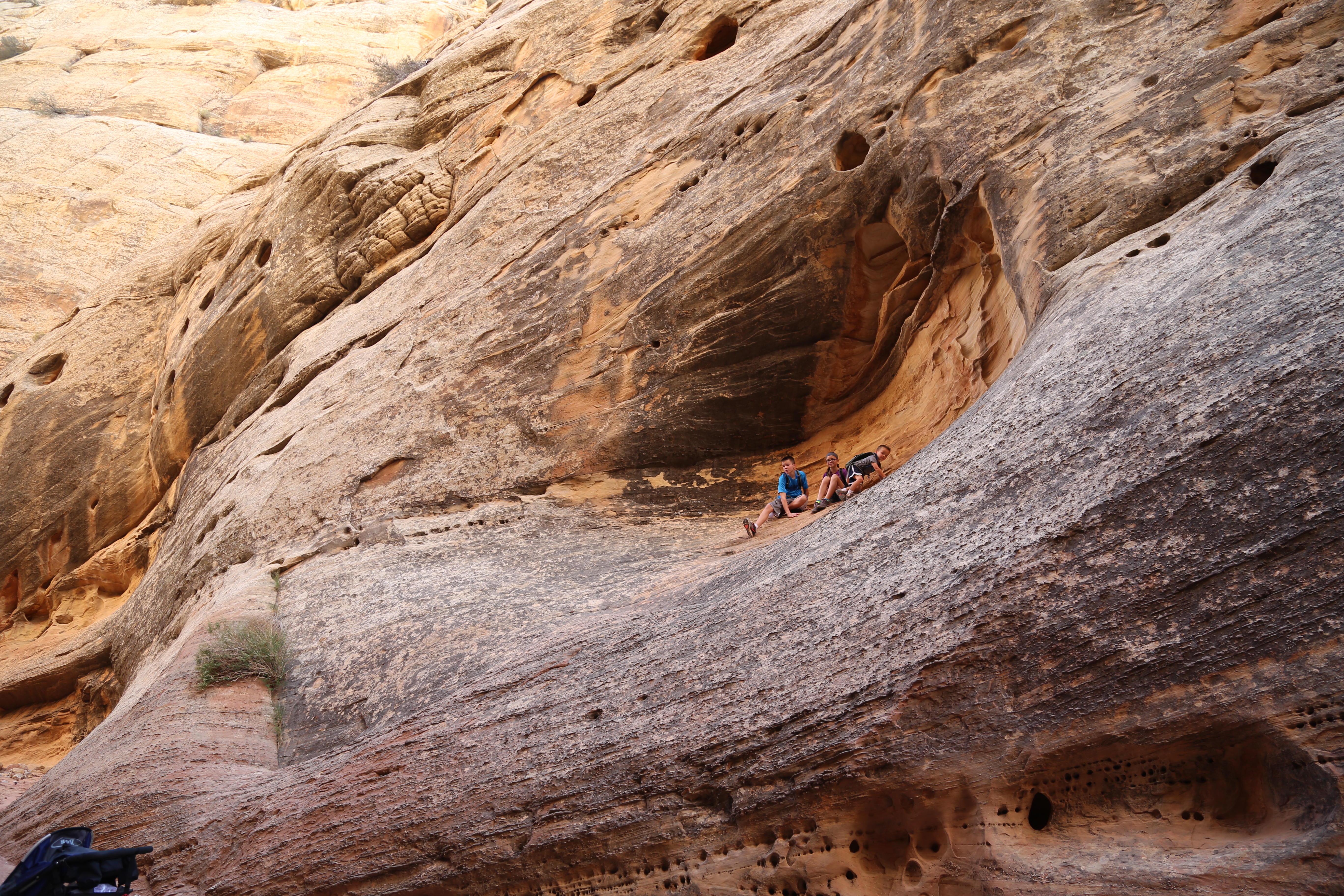 2015 Fall Break - Day 2 - Capitol Reef National Park (Grand Wash Narrows, Capitol Gorge (Petroglyphs, Narrows, Pioneer Register), Waterpocket Fold Drive (Notom-Bullfrog Road, Burr Trail Road), Hell's Backbone Grill (Boulder, Utah))