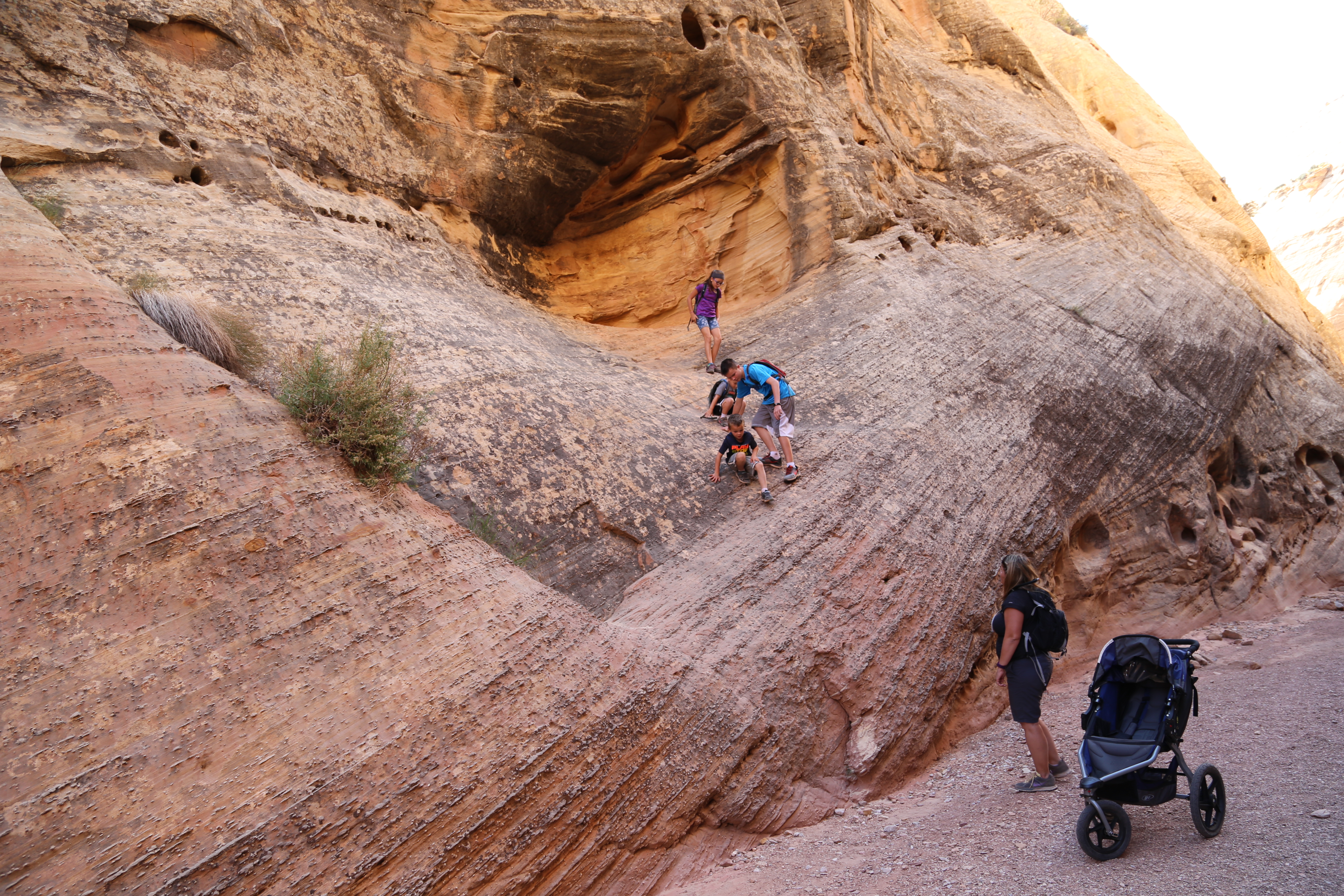 2015 Fall Break - Day 2 - Capitol Reef National Park (Grand Wash Narrows, Capitol Gorge (Petroglyphs, Narrows, Pioneer Register), Waterpocket Fold Drive (Notom-Bullfrog Road, Burr Trail Road), Hell's Backbone Grill (Boulder, Utah))