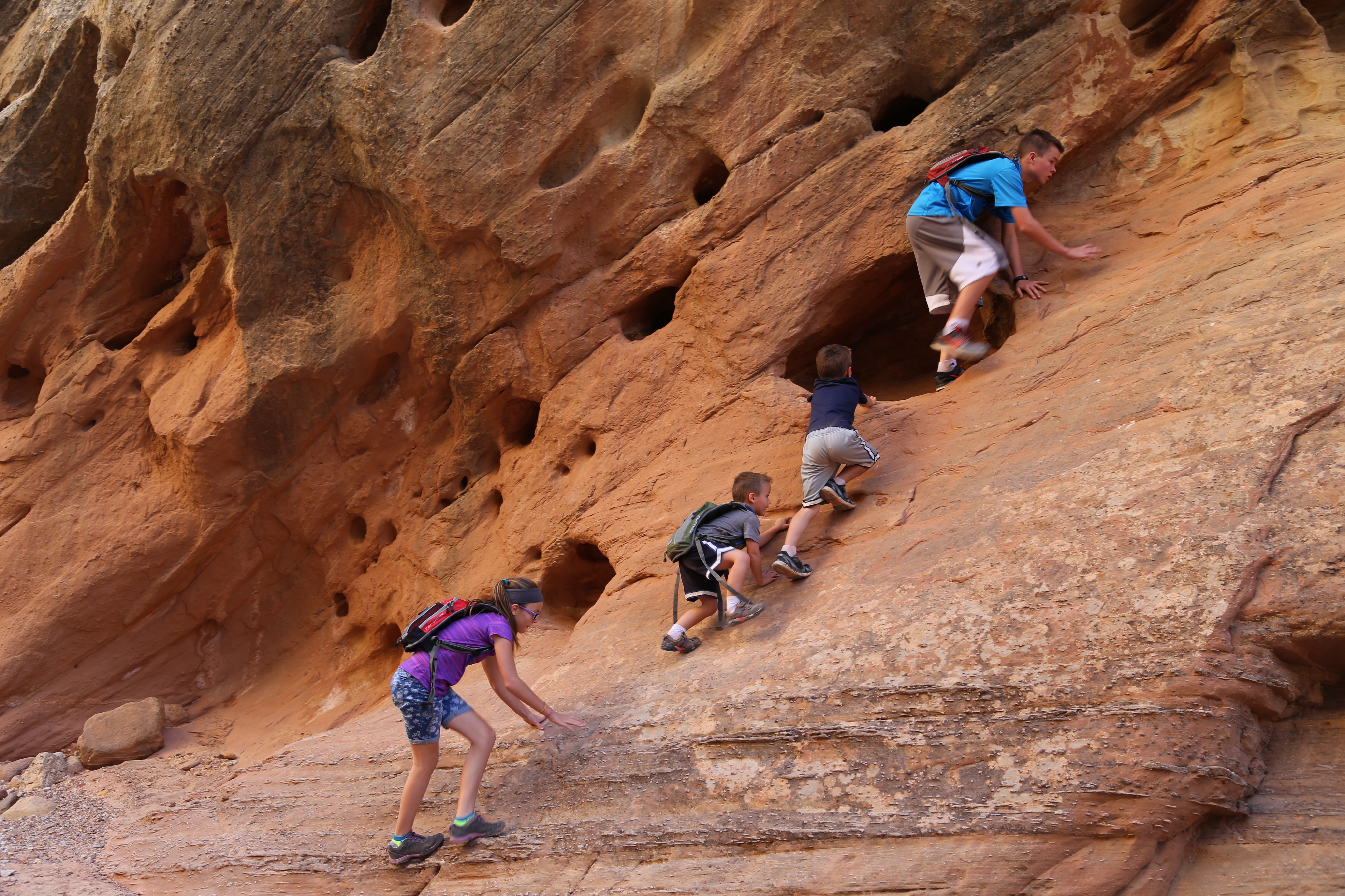 2015 Fall Break - Day 2 - Capitol Reef National Park (Grand Wash Narrows, Capitol Gorge (Petroglyphs, Narrows, Pioneer Register), Waterpocket Fold Drive (Notom-Bullfrog Road, Burr Trail Road), Hell's Backbone Grill (Boulder, Utah))