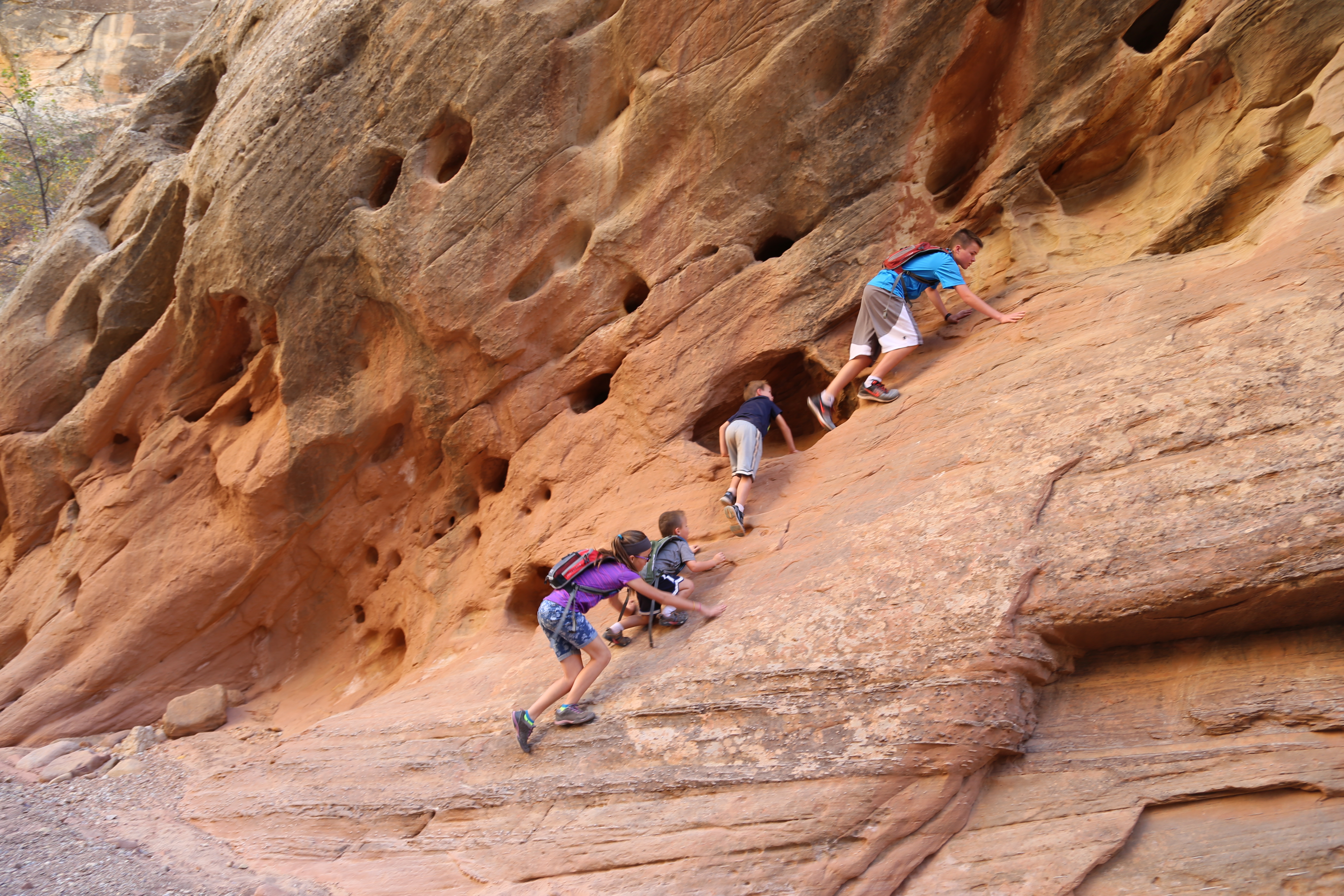 2015 Fall Break - Day 2 - Capitol Reef National Park (Grand Wash Narrows, Capitol Gorge (Petroglyphs, Narrows, Pioneer Register), Waterpocket Fold Drive (Notom-Bullfrog Road, Burr Trail Road), Hell's Backbone Grill (Boulder, Utah))