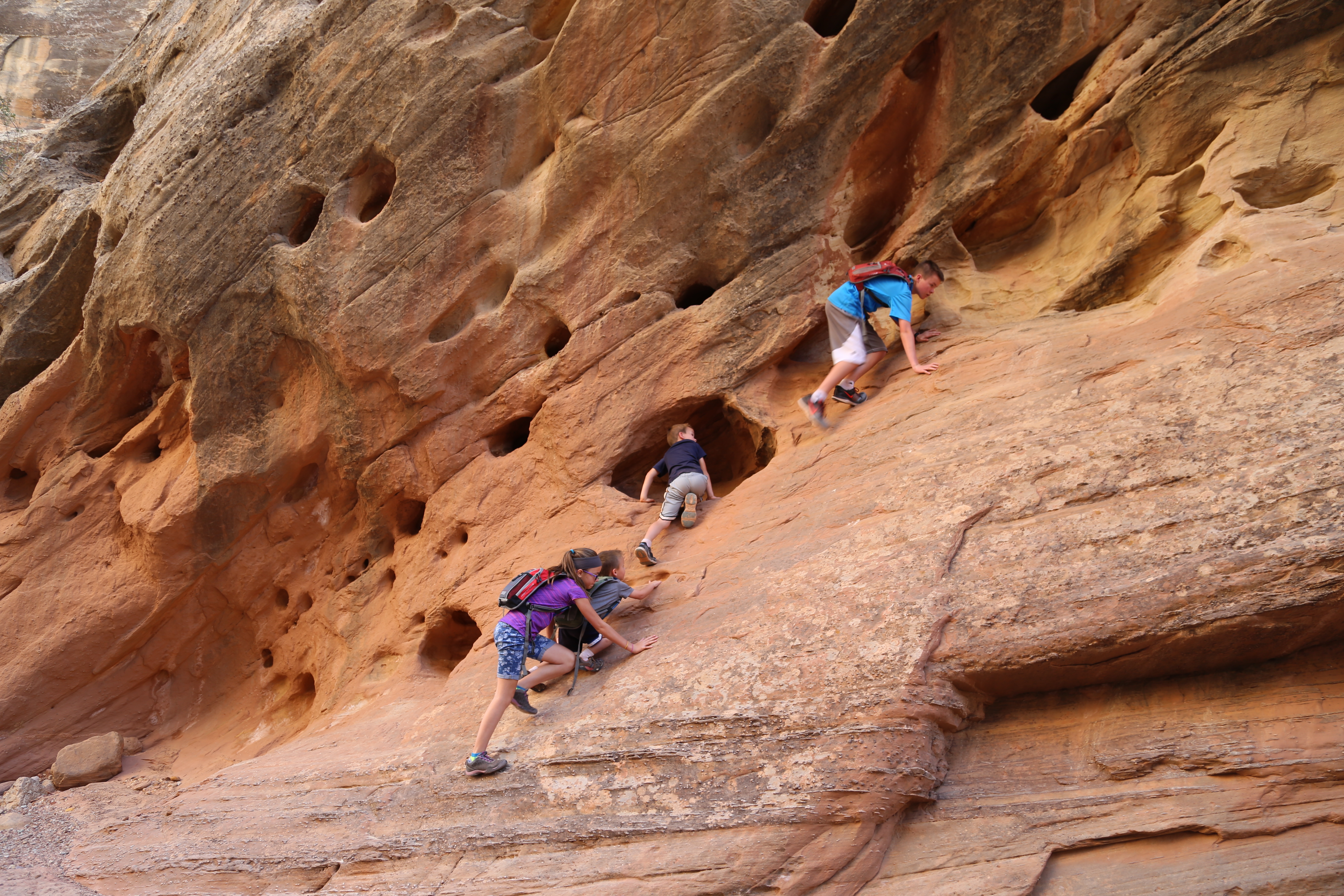 2015 Fall Break - Day 2 - Capitol Reef National Park (Grand Wash Narrows, Capitol Gorge (Petroglyphs, Narrows, Pioneer Register), Waterpocket Fold Drive (Notom-Bullfrog Road, Burr Trail Road), Hell's Backbone Grill (Boulder, Utah))