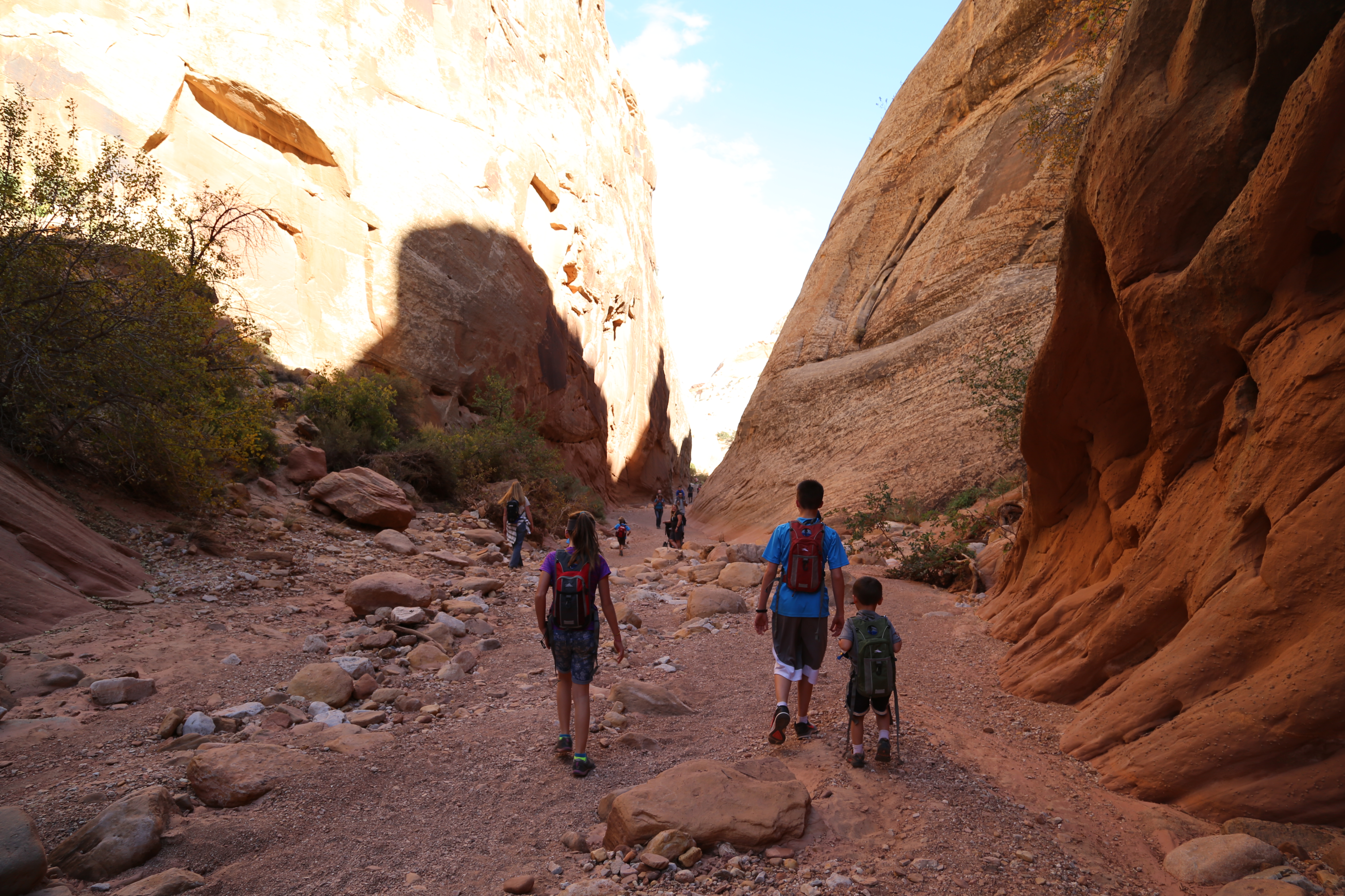 2015 Fall Break - Day 2 - Capitol Reef National Park (Grand Wash Narrows, Capitol Gorge (Petroglyphs, Narrows, Pioneer Register), Waterpocket Fold Drive (Notom-Bullfrog Road, Burr Trail Road), Hell's Backbone Grill (Boulder, Utah))