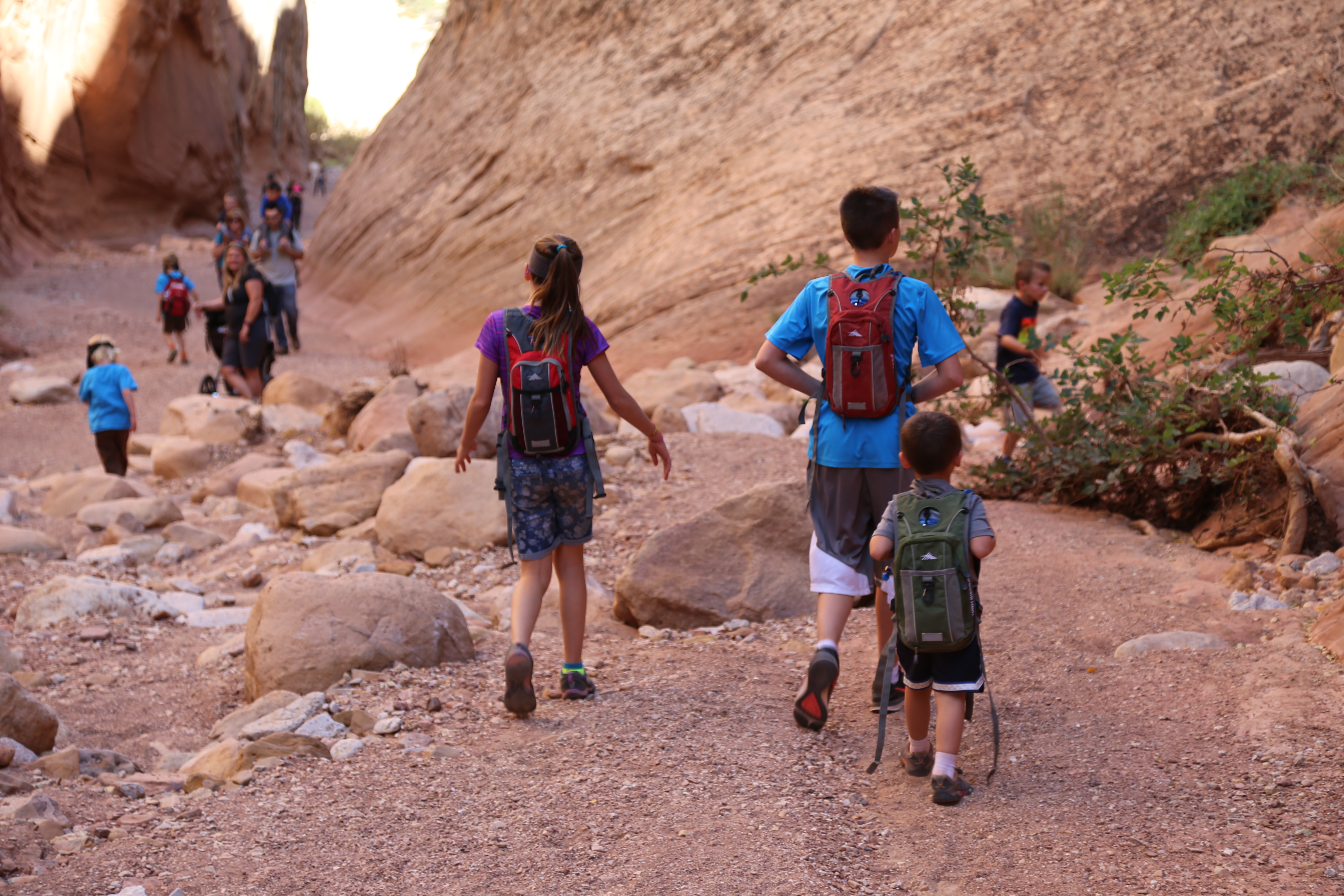 2015 Fall Break - Day 2 - Capitol Reef National Park (Grand Wash Narrows, Capitol Gorge (Petroglyphs, Narrows, Pioneer Register), Waterpocket Fold Drive (Notom-Bullfrog Road, Burr Trail Road), Hell's Backbone Grill (Boulder, Utah))