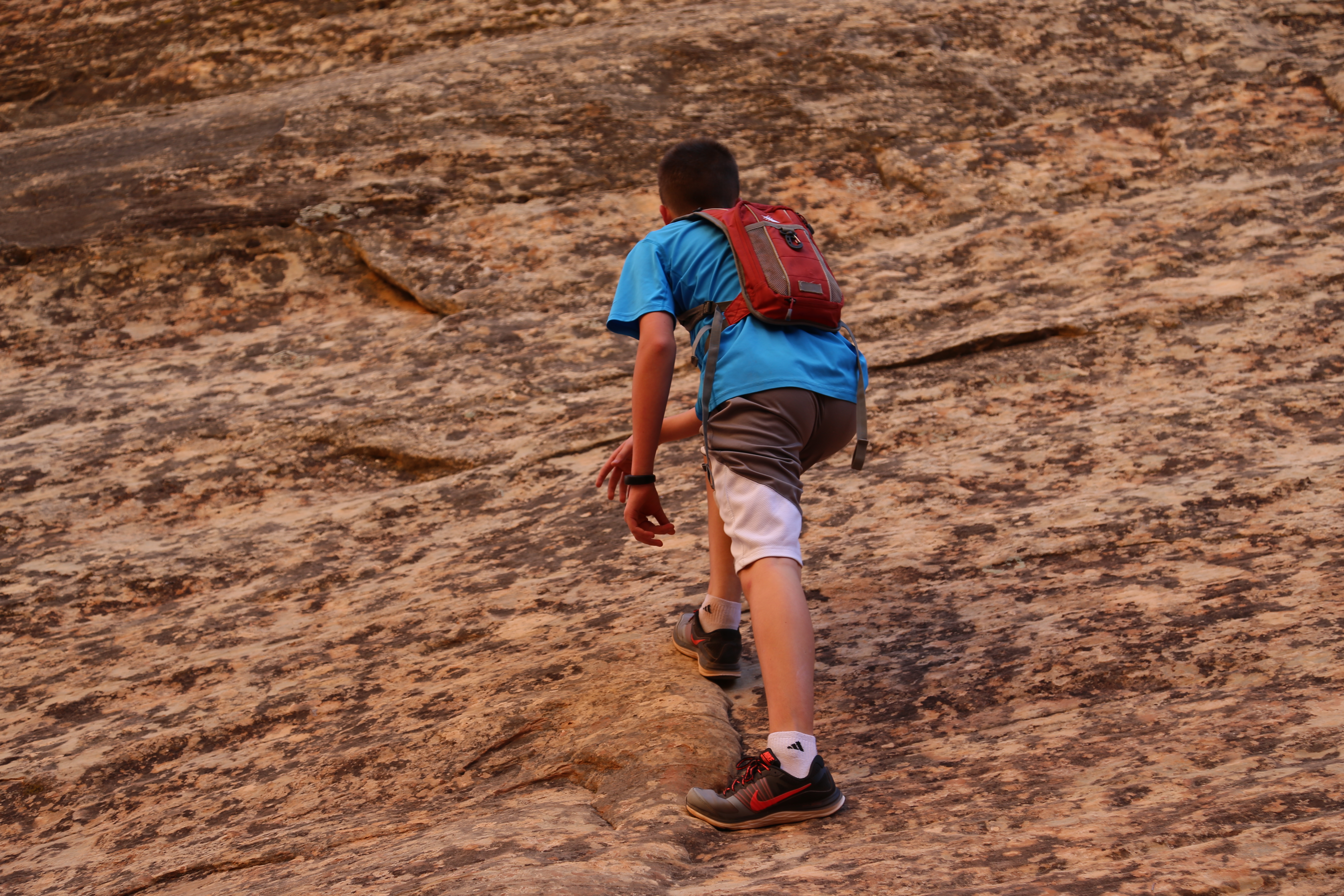 2015 Fall Break - Day 2 - Capitol Reef National Park (Grand Wash Narrows, Capitol Gorge (Petroglyphs, Narrows, Pioneer Register), Waterpocket Fold Drive (Notom-Bullfrog Road, Burr Trail Road), Hell's Backbone Grill (Boulder, Utah))