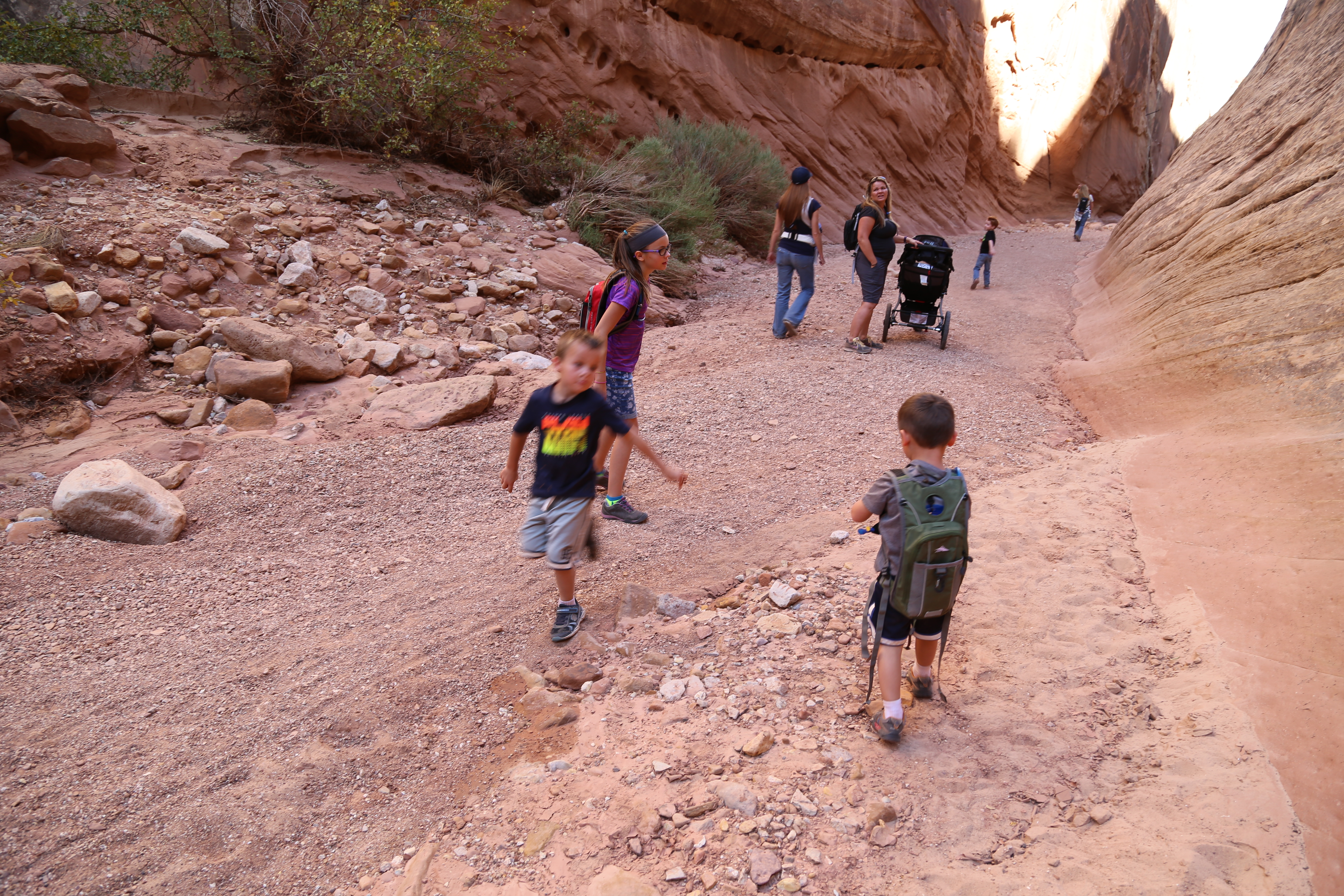 2015 Fall Break - Day 2 - Capitol Reef National Park (Grand Wash Narrows, Capitol Gorge (Petroglyphs, Narrows, Pioneer Register), Waterpocket Fold Drive (Notom-Bullfrog Road, Burr Trail Road), Hell's Backbone Grill (Boulder, Utah))