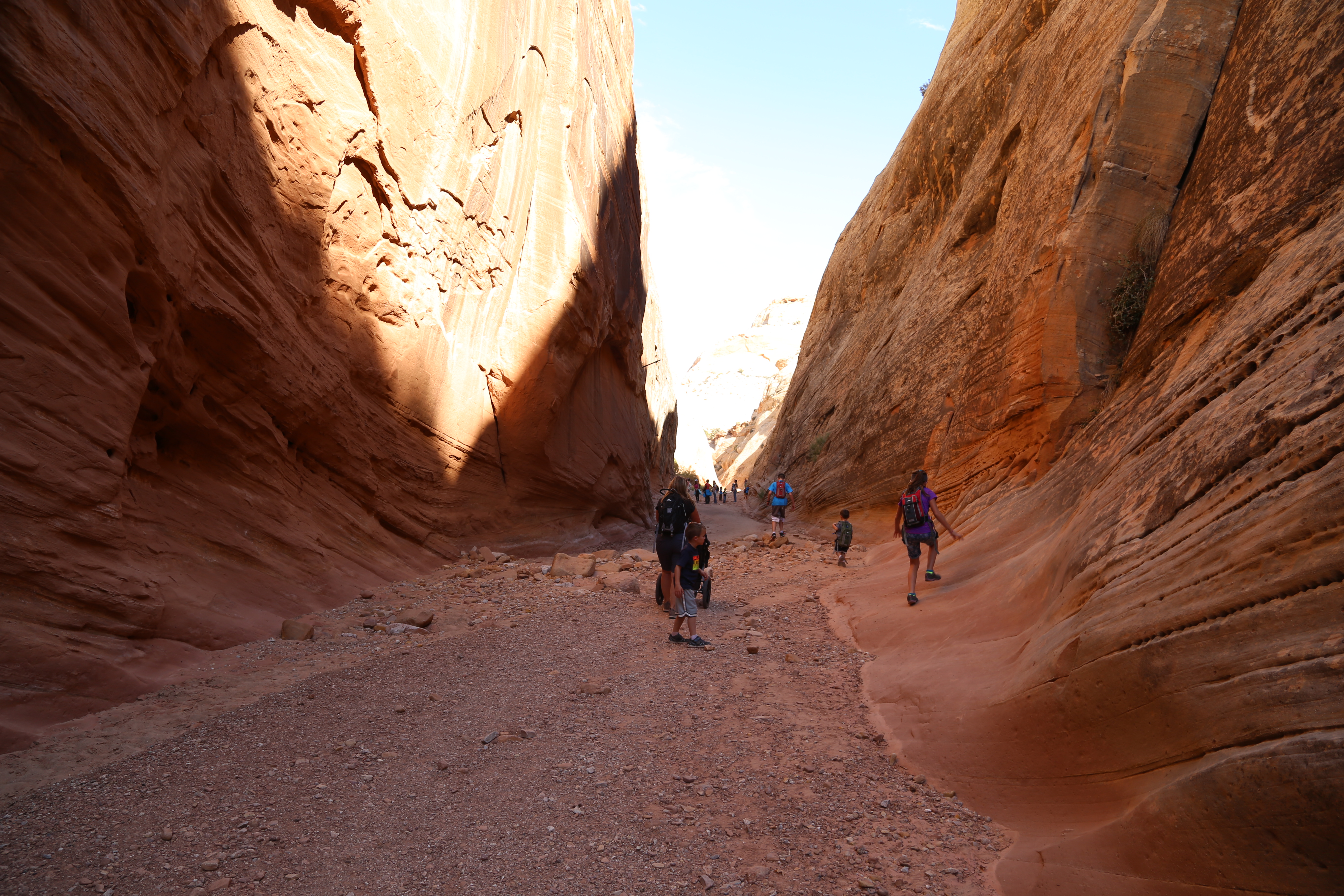 2015 Fall Break - Day 2 - Capitol Reef National Park (Grand Wash Narrows, Capitol Gorge (Petroglyphs, Narrows, Pioneer Register), Waterpocket Fold Drive (Notom-Bullfrog Road, Burr Trail Road), Hell's Backbone Grill (Boulder, Utah))