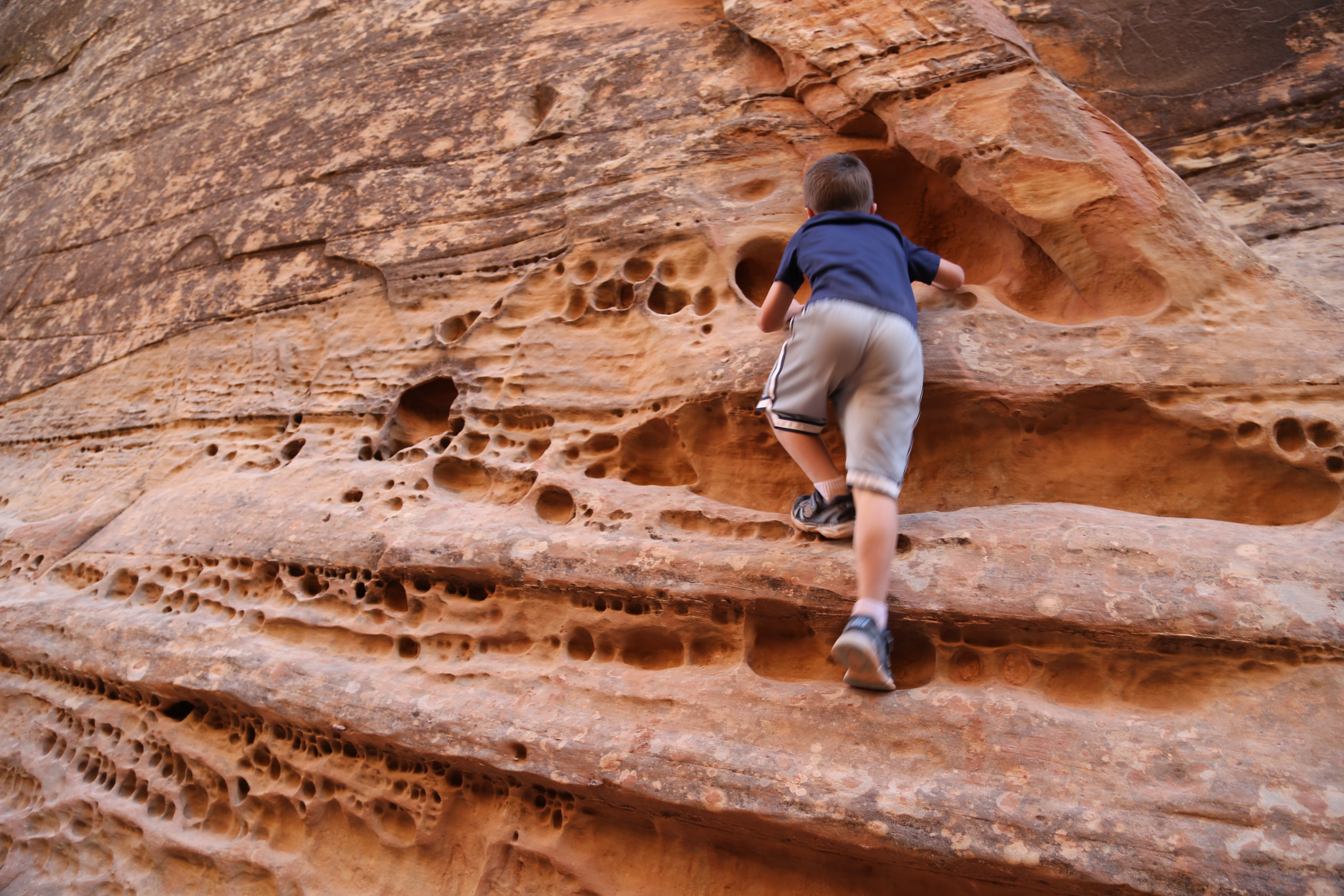 2015 Fall Break - Day 2 - Capitol Reef National Park (Grand Wash Narrows, Capitol Gorge (Petroglyphs, Narrows, Pioneer Register), Waterpocket Fold Drive (Notom-Bullfrog Road, Burr Trail Road), Hell's Backbone Grill (Boulder, Utah))