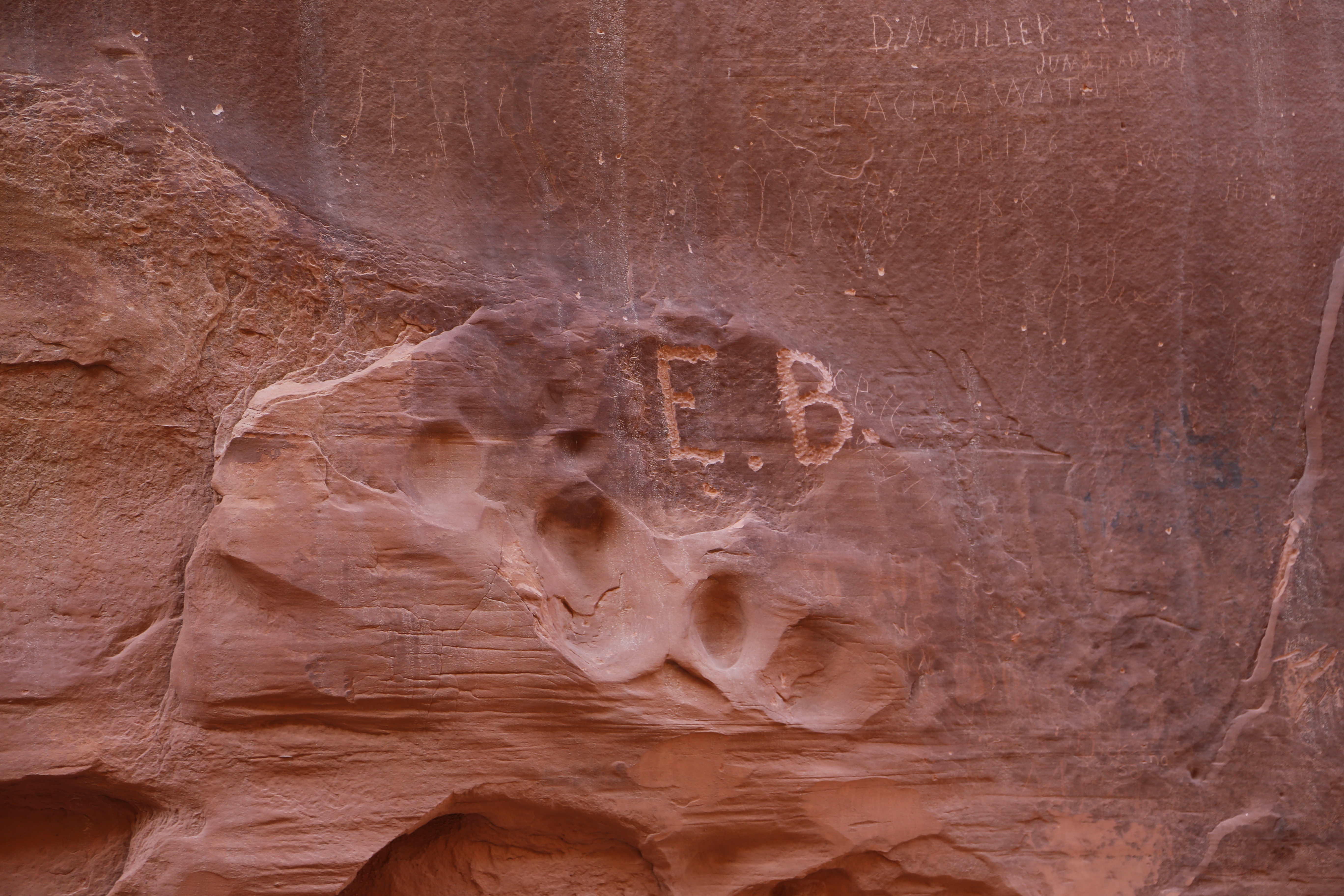 2015 Fall Break - Day 2 - Capitol Reef National Park (Grand Wash Narrows, Capitol Gorge (Petroglyphs, Narrows, Pioneer Register), Waterpocket Fold Drive (Notom-Bullfrog Road, Burr Trail Road), Hell's Backbone Grill (Boulder, Utah))