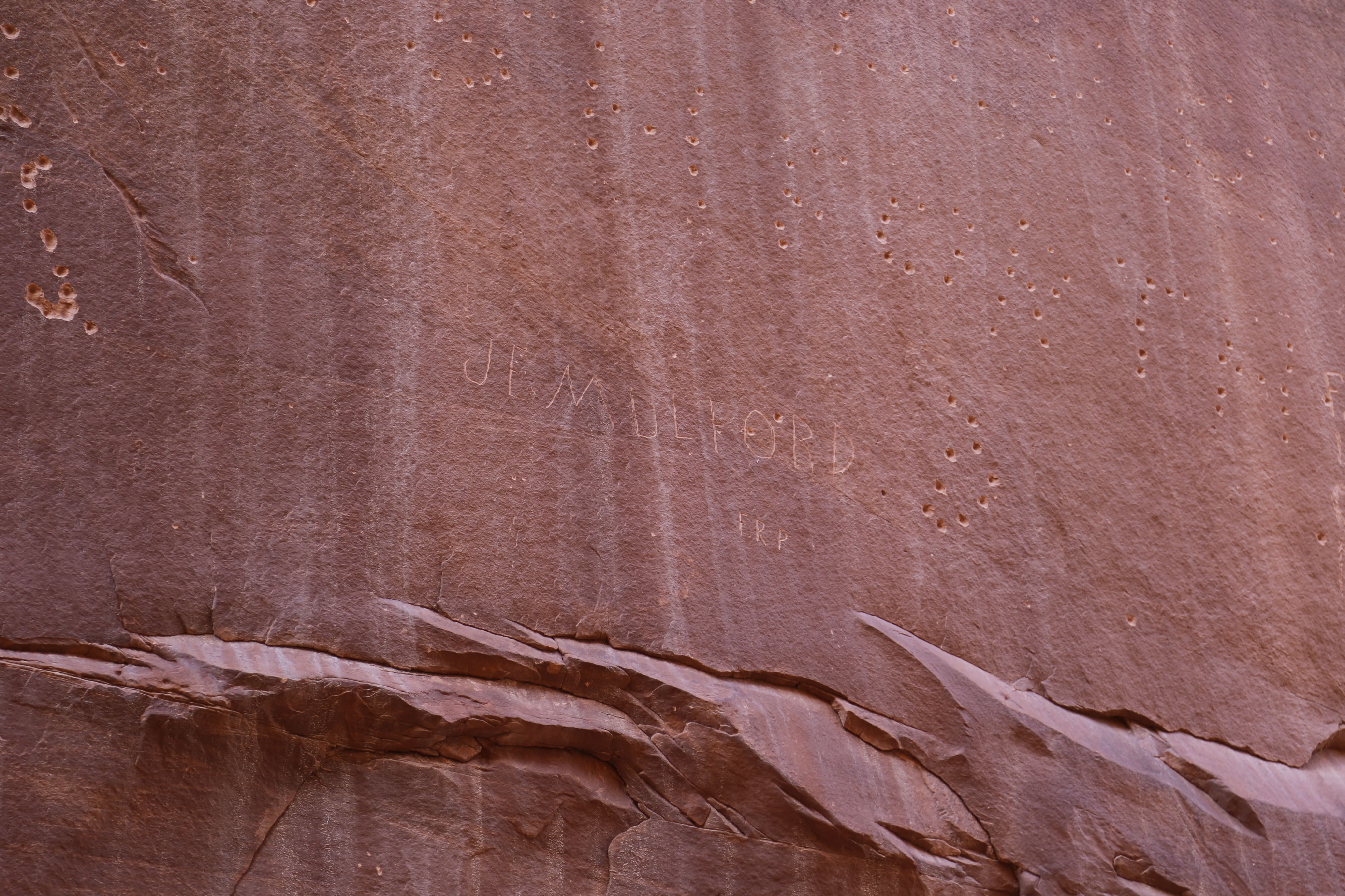 2015 Fall Break - Day 2 - Capitol Reef National Park (Grand Wash Narrows, Capitol Gorge (Petroglyphs, Narrows, Pioneer Register), Waterpocket Fold Drive (Notom-Bullfrog Road, Burr Trail Road), Hell's Backbone Grill (Boulder, Utah))