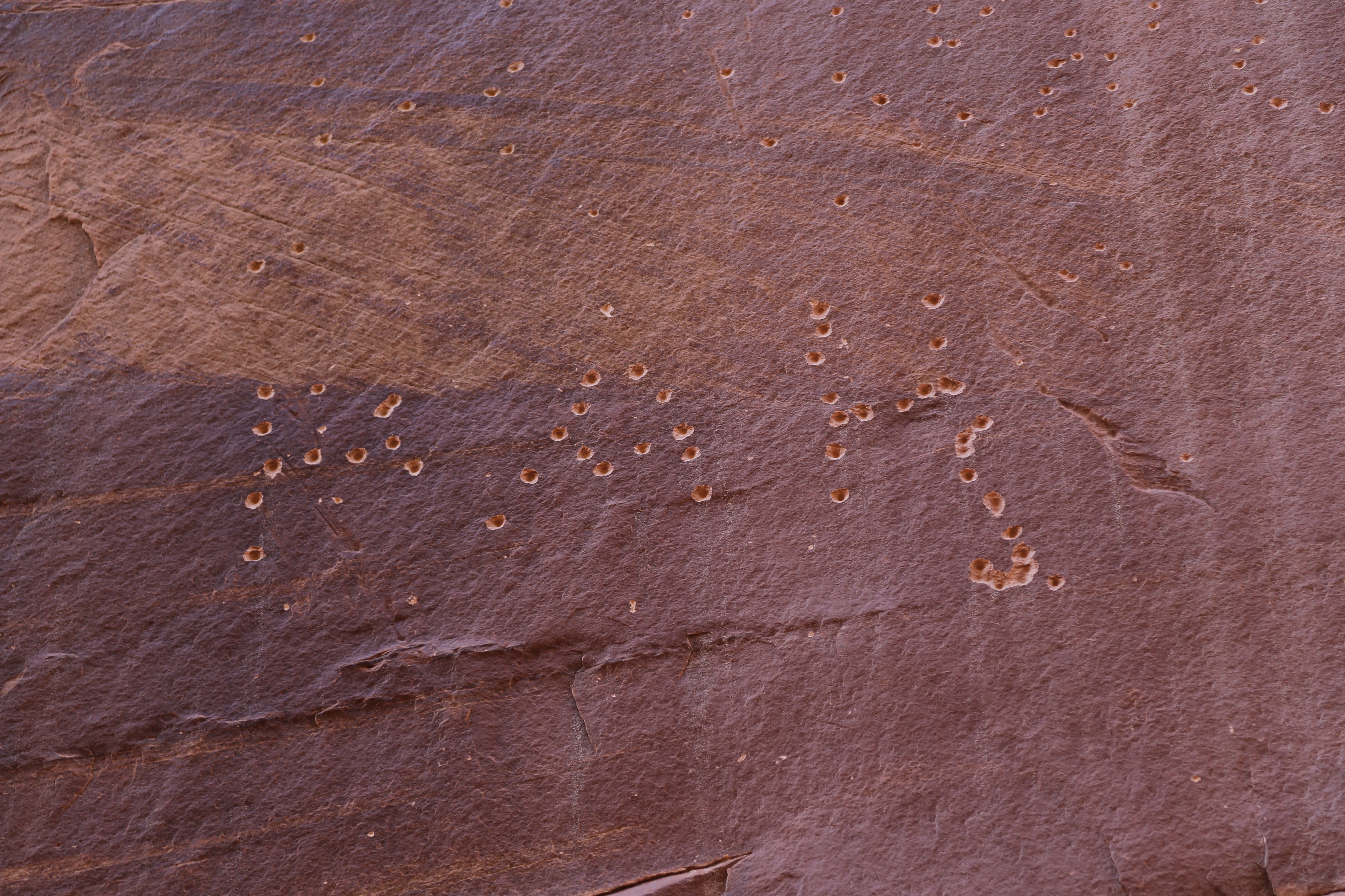 2015 Fall Break - Day 2 - Capitol Reef National Park (Grand Wash Narrows, Capitol Gorge (Petroglyphs, Narrows, Pioneer Register), Waterpocket Fold Drive (Notom-Bullfrog Road, Burr Trail Road), Hell's Backbone Grill (Boulder, Utah))