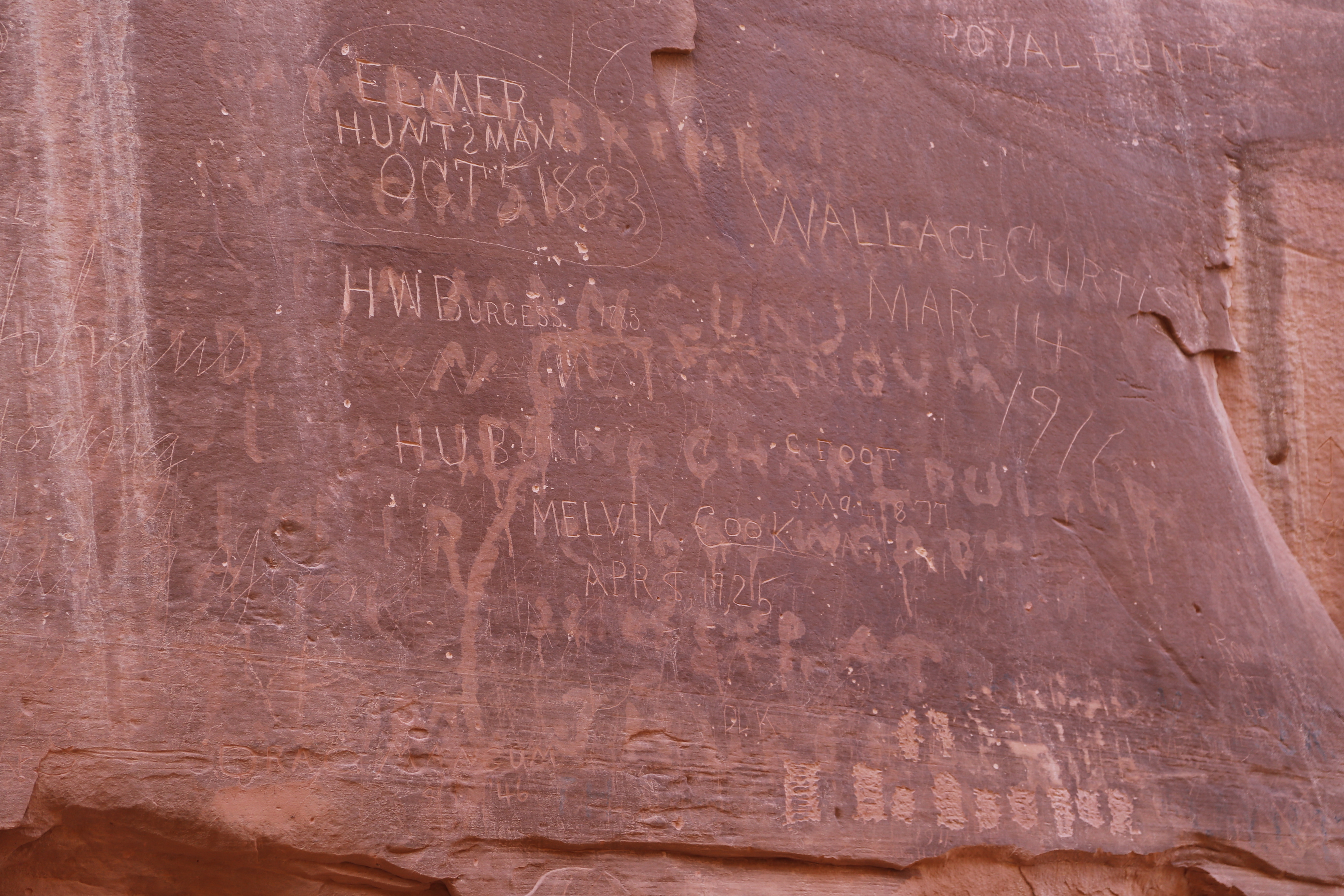 2015 Fall Break - Day 2 - Capitol Reef National Park (Grand Wash Narrows, Capitol Gorge (Petroglyphs, Narrows, Pioneer Register), Waterpocket Fold Drive (Notom-Bullfrog Road, Burr Trail Road), Hell's Backbone Grill (Boulder, Utah))