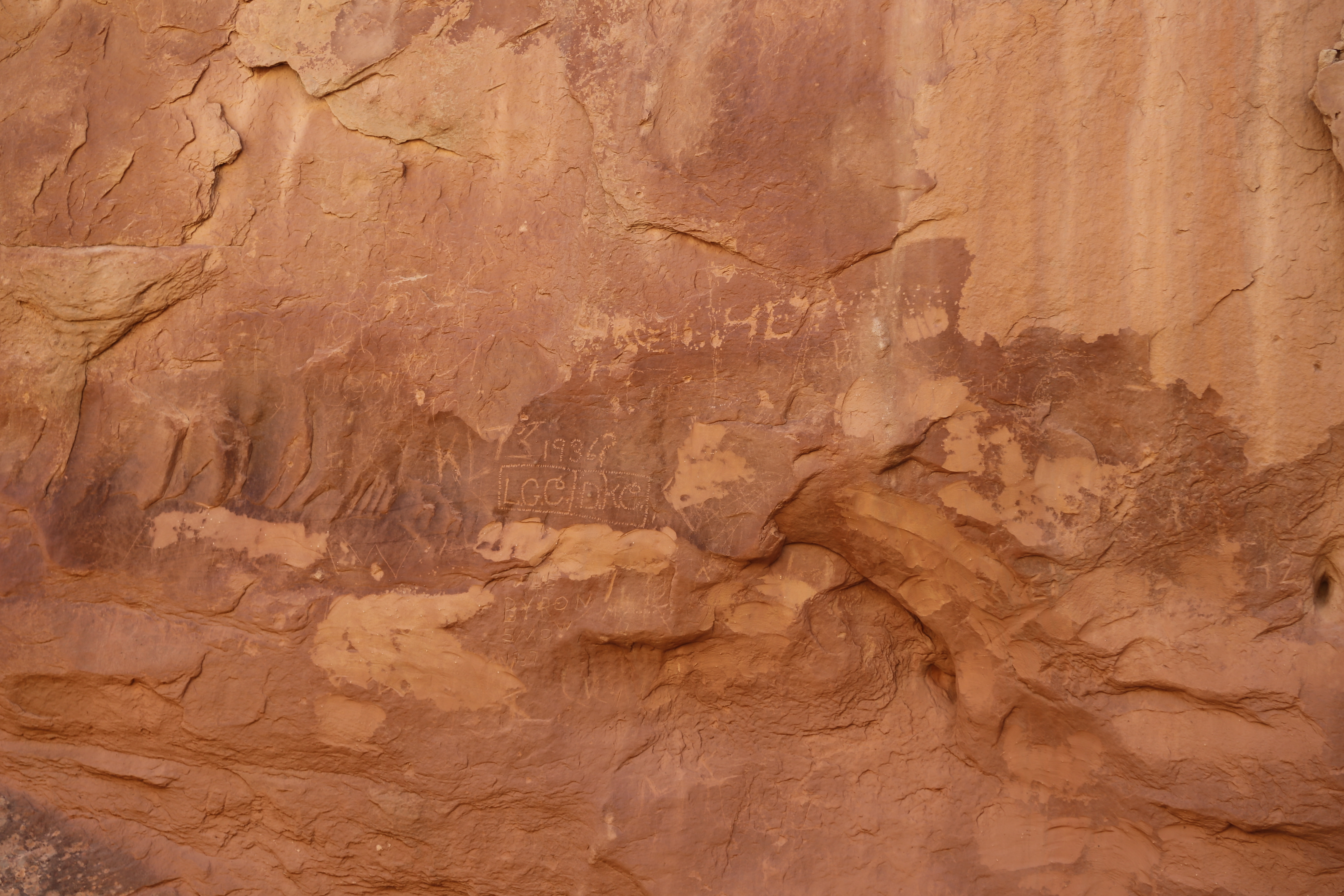 2015 Fall Break - Day 2 - Capitol Reef National Park (Grand Wash Narrows, Capitol Gorge (Petroglyphs, Narrows, Pioneer Register), Waterpocket Fold Drive (Notom-Bullfrog Road, Burr Trail Road), Hell's Backbone Grill (Boulder, Utah))