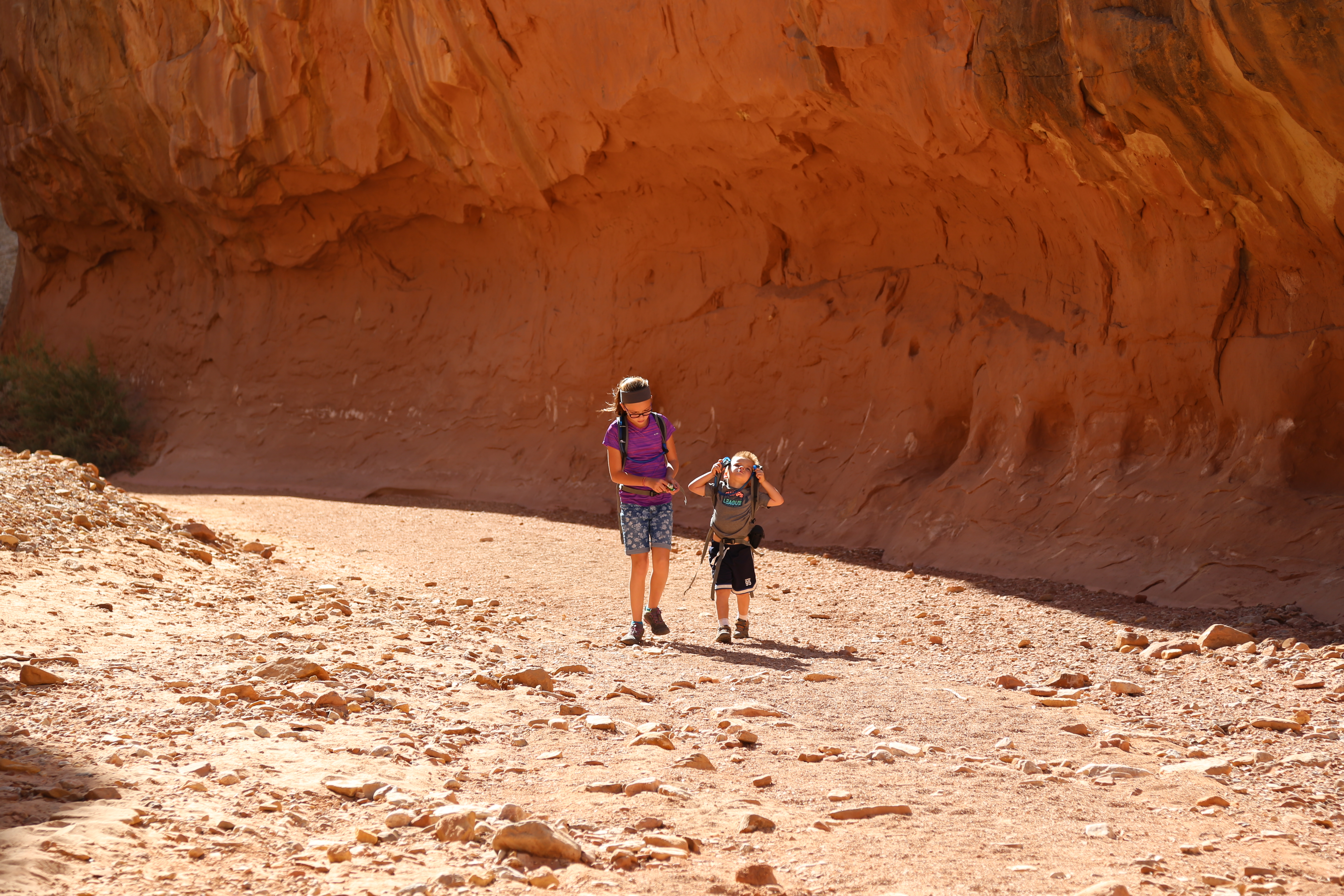 2015 Fall Break - Day 2 - Capitol Reef National Park (Grand Wash Narrows, Capitol Gorge (Petroglyphs, Narrows, Pioneer Register), Waterpocket Fold Drive (Notom-Bullfrog Road, Burr Trail Road), Hell's Backbone Grill (Boulder, Utah))