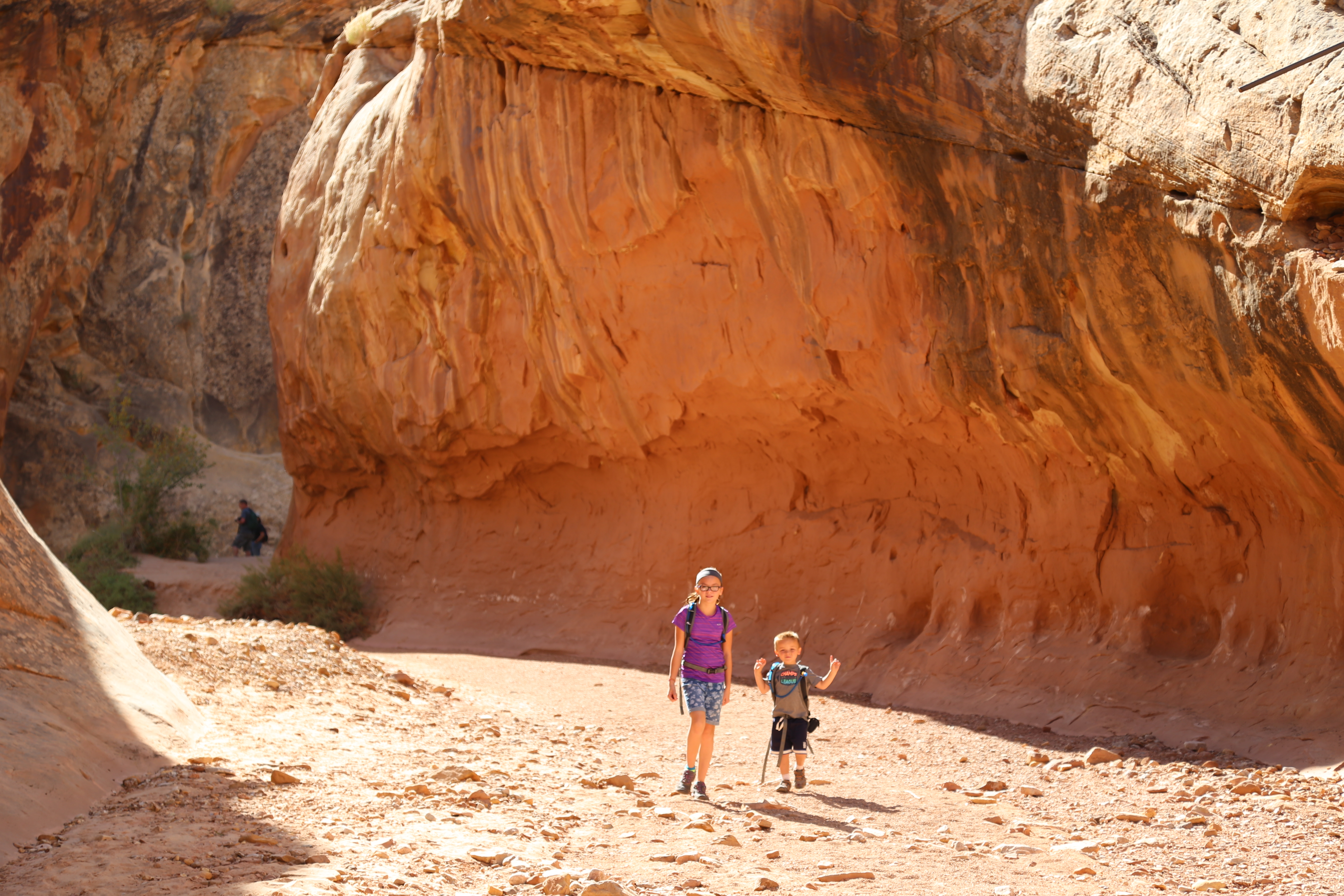 2015 Fall Break - Day 2 - Capitol Reef National Park (Grand Wash Narrows, Capitol Gorge (Petroglyphs, Narrows, Pioneer Register), Waterpocket Fold Drive (Notom-Bullfrog Road, Burr Trail Road), Hell's Backbone Grill (Boulder, Utah))