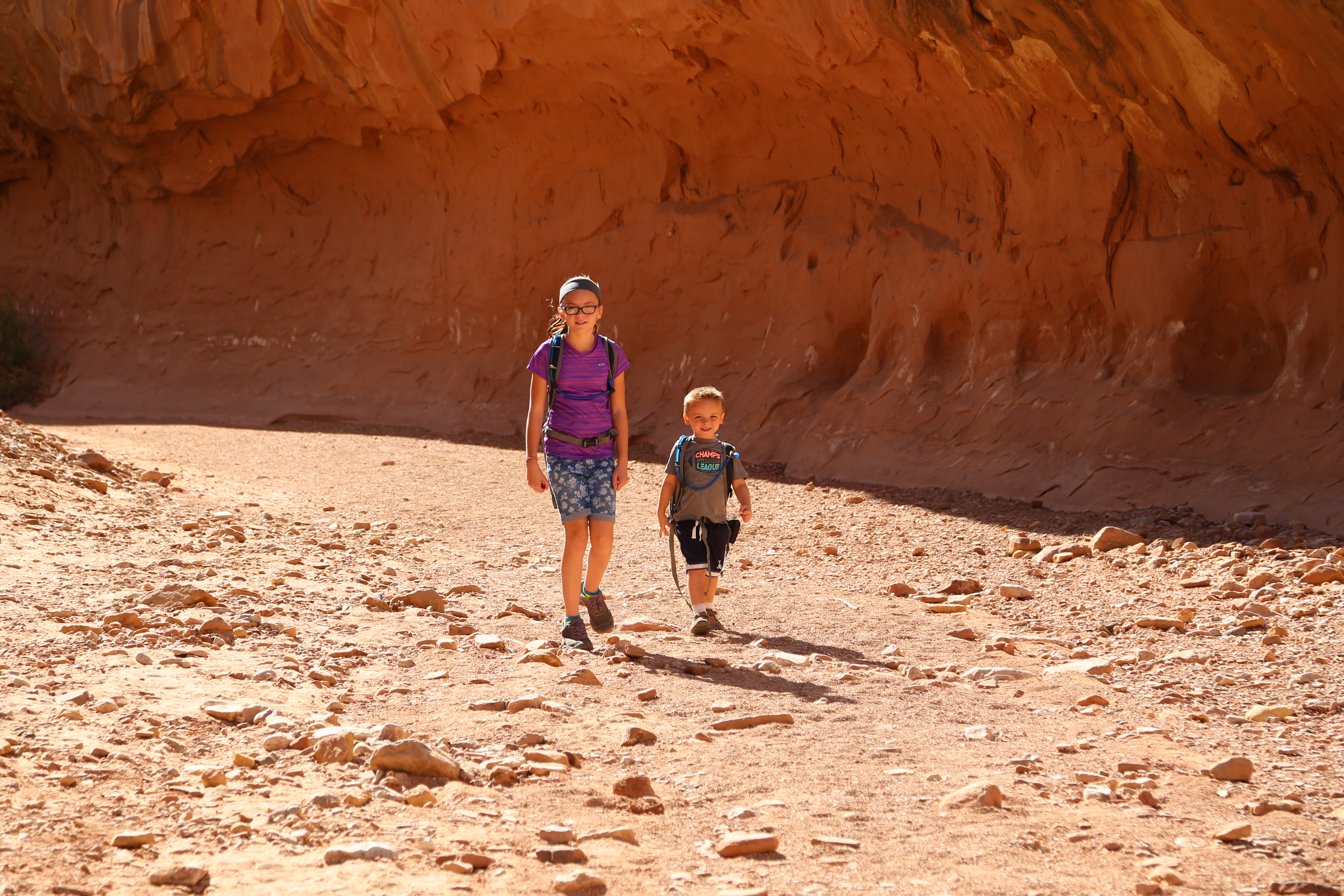 2015 Fall Break - Day 2 - Capitol Reef National Park (Grand Wash Narrows, Capitol Gorge (Petroglyphs, Narrows, Pioneer Register), Waterpocket Fold Drive (Notom-Bullfrog Road, Burr Trail Road), Hell's Backbone Grill (Boulder, Utah))