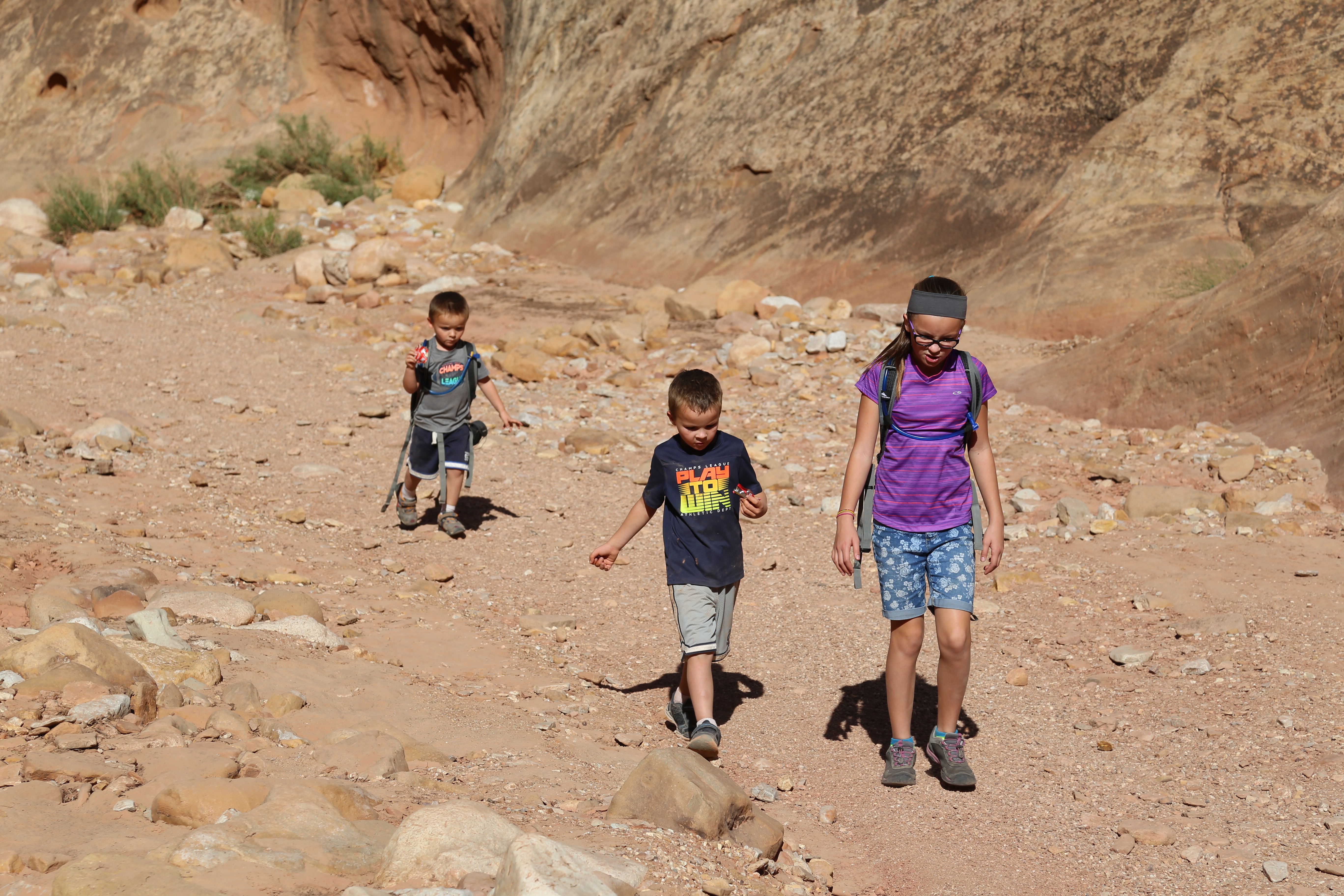 2015 Fall Break - Day 2 - Capitol Reef National Park (Grand Wash Narrows, Capitol Gorge (Petroglyphs, Narrows, Pioneer Register), Waterpocket Fold Drive (Notom-Bullfrog Road, Burr Trail Road), Hell's Backbone Grill (Boulder, Utah))